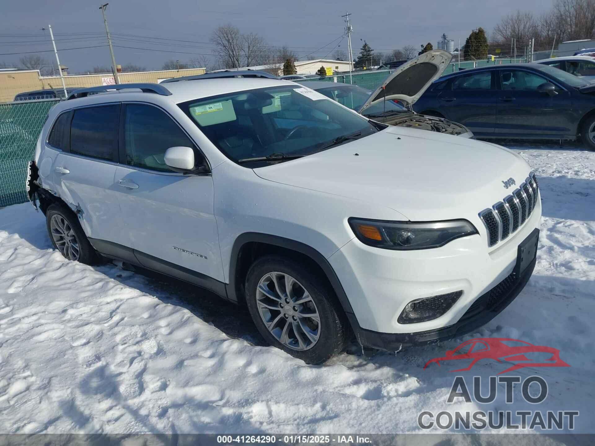 JEEP CHEROKEE 2019 - 1C4PJLLB6KD154122