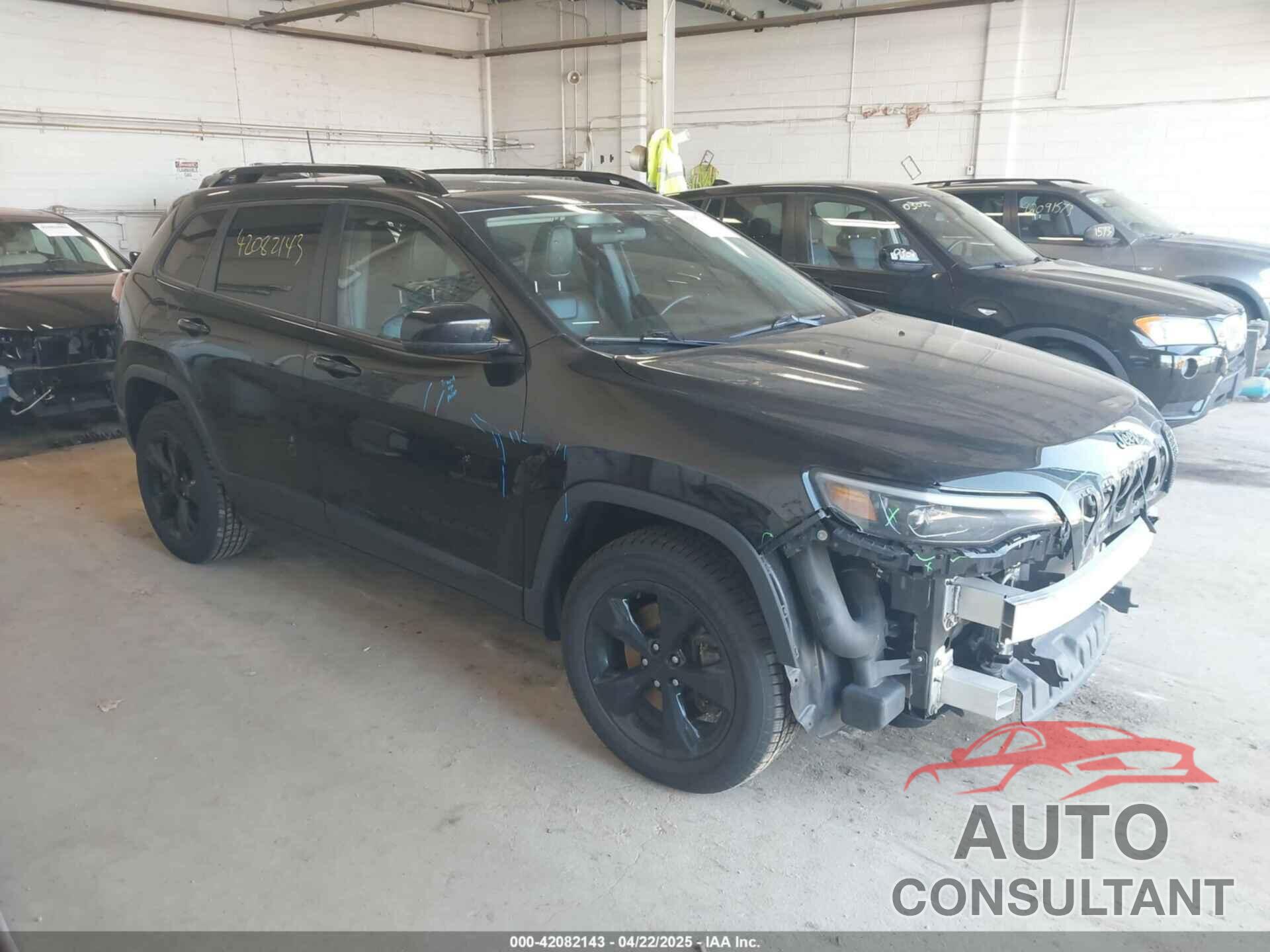 JEEP CHEROKEE 2019 - 1C4PJMLX5KD307137