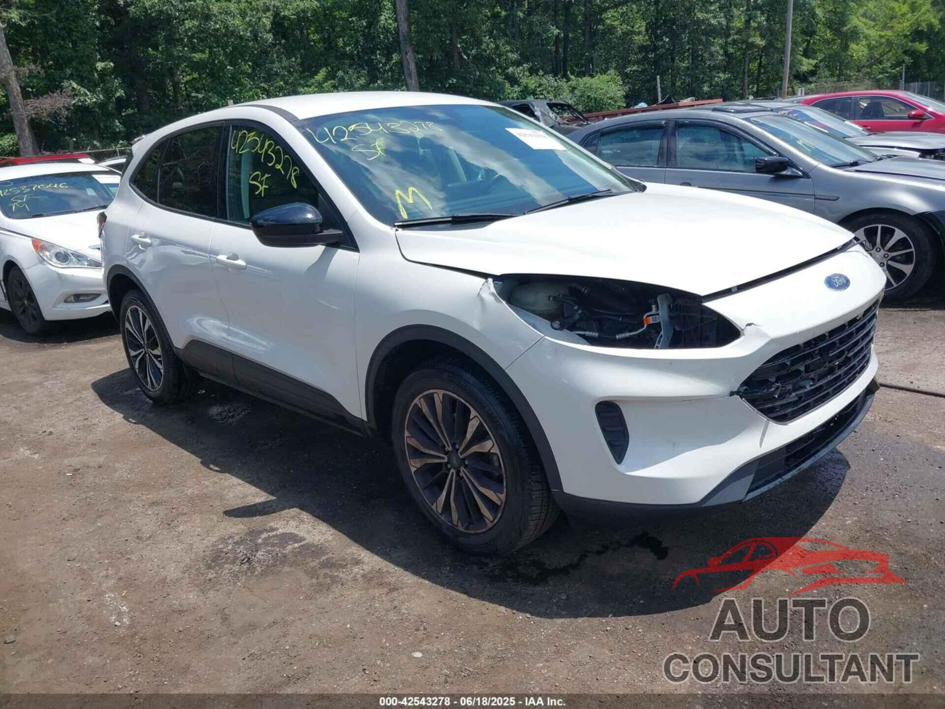 FORD ESCAPE 2021 - 1FMCU9G62MUA64485