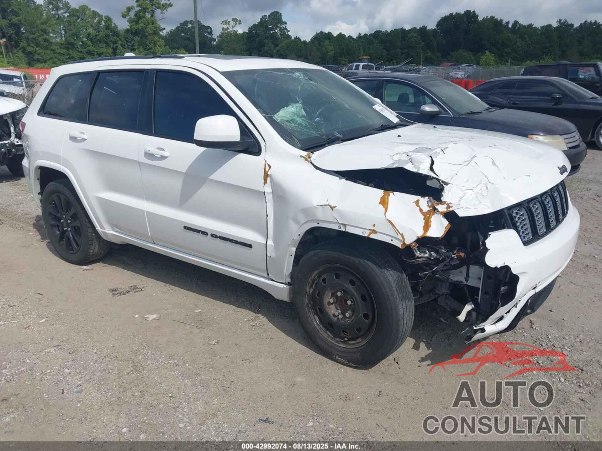 JEEP GRAND CHEROKEE 2019 - 1C4RJEAG3KC597689