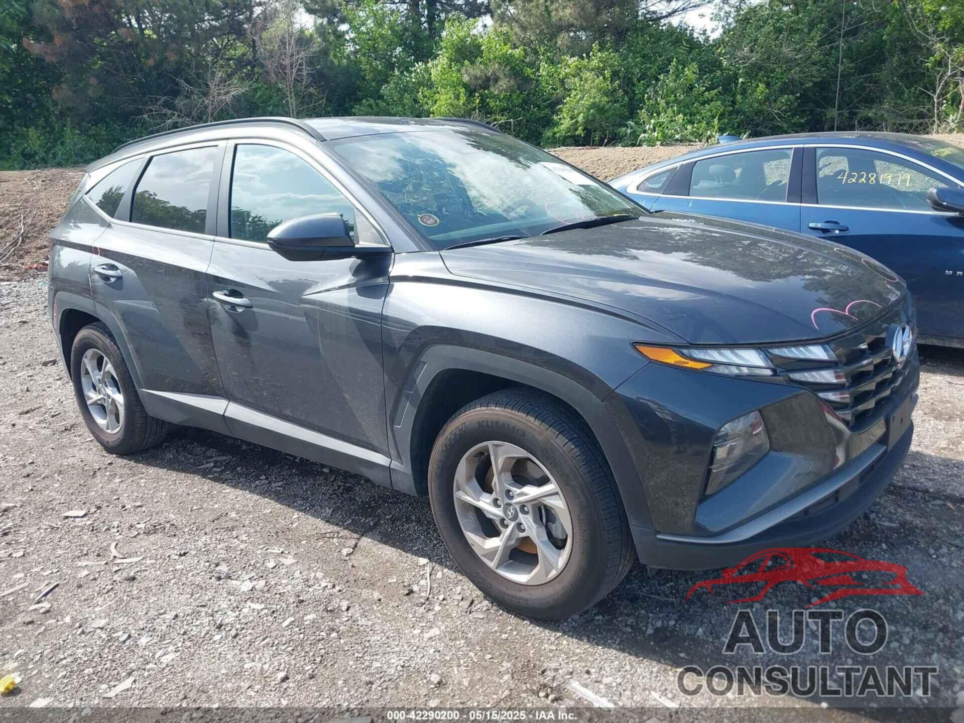 HYUNDAI TUCSON 2024 - 5NMJBCDE0RH352997
