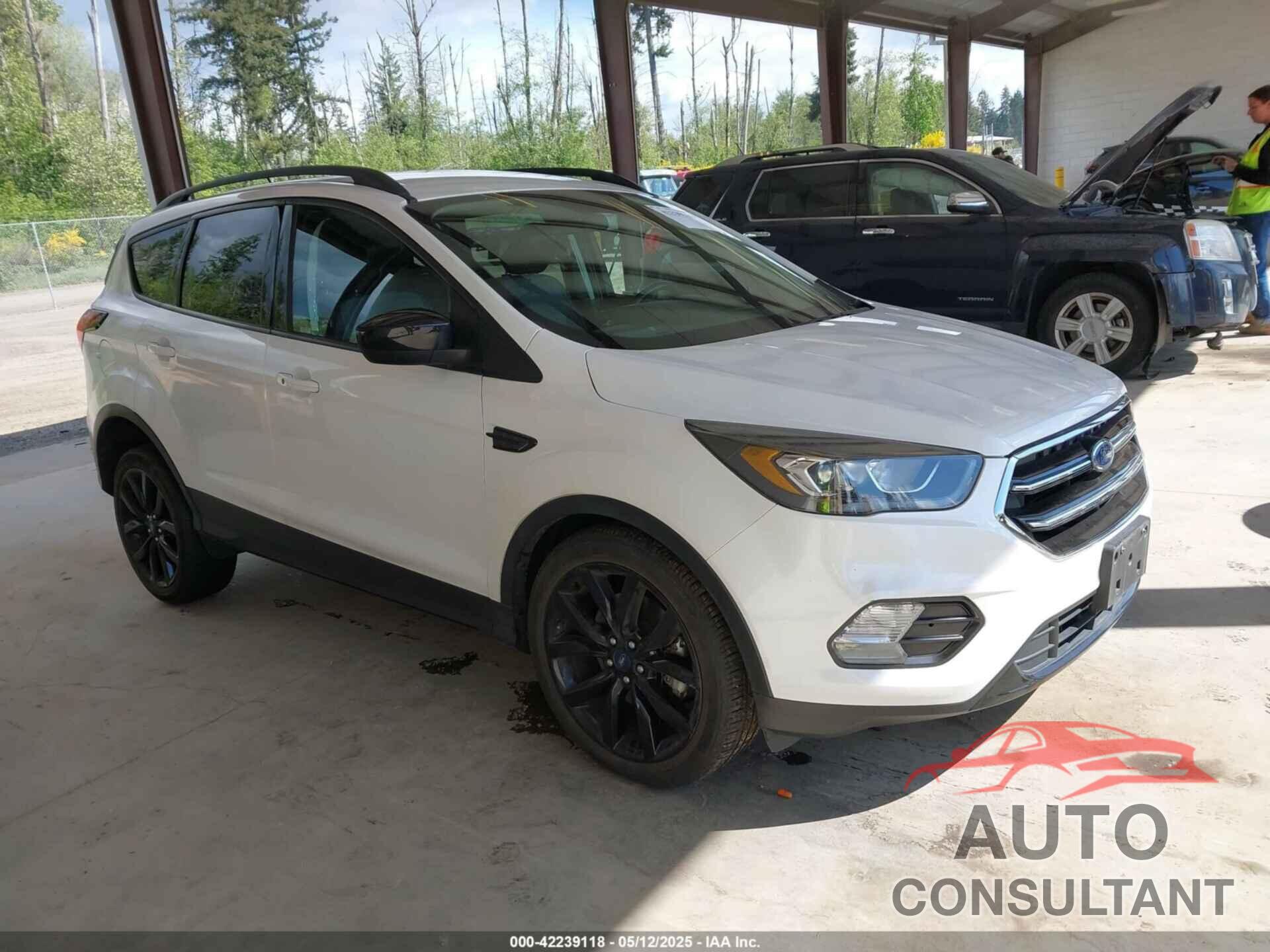 FORD ESCAPE 2019 - 1FMCU9GDXKUB63437