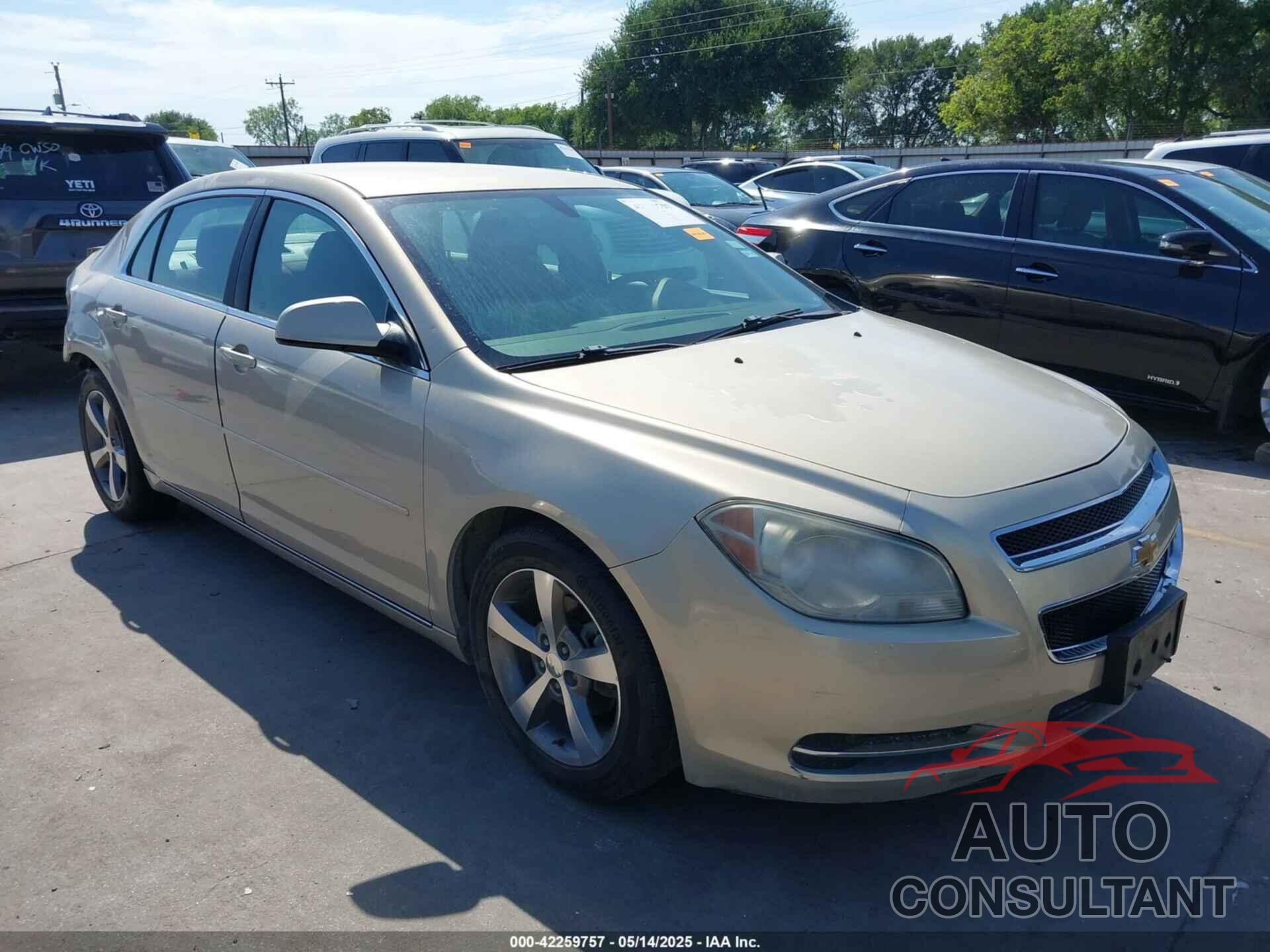 CHEVROLET MALIBU 2011 - 1G1ZC5E19BF156124