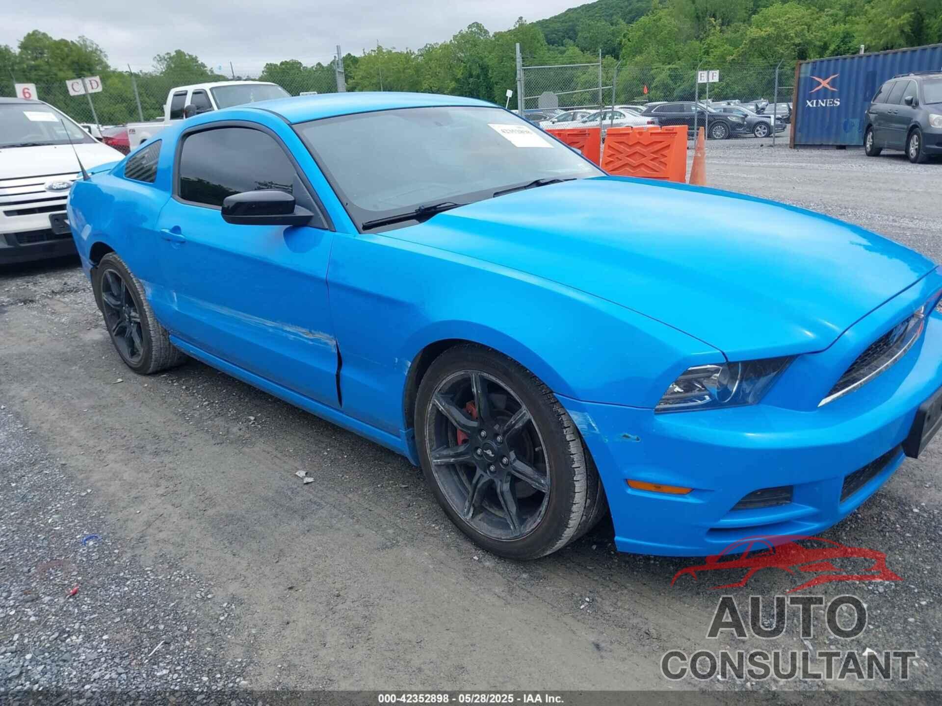 FORD MUSTANG 2013 - 1ZVBP8AM9D5253702