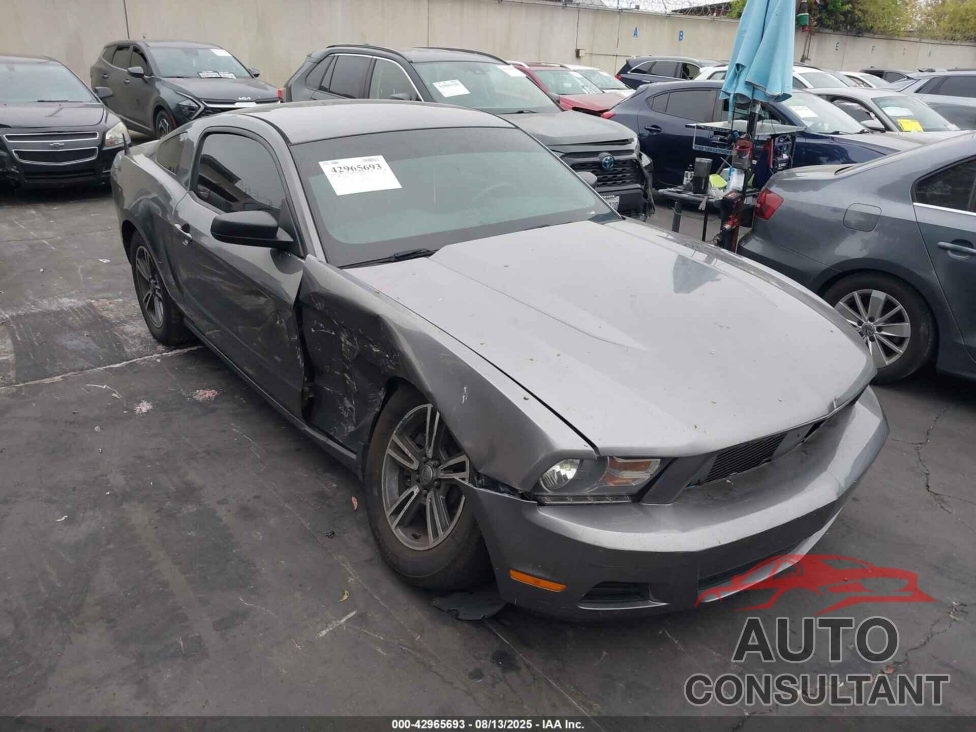 FORD MUSTANG 2011 - 1ZVBP8AM3B5166648