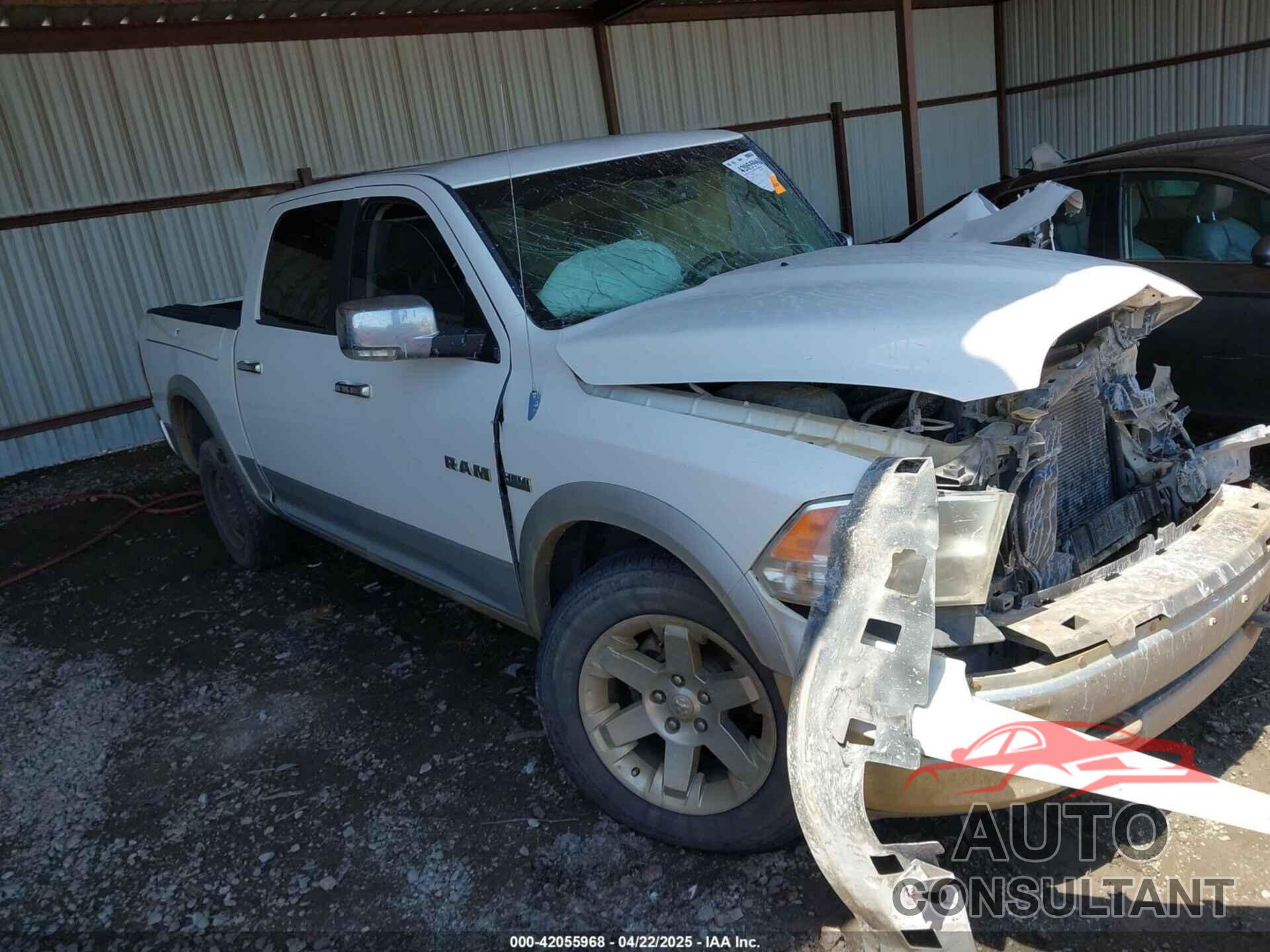 DODGE RAM 1500 2009 - 1D3HV13TX9J519720