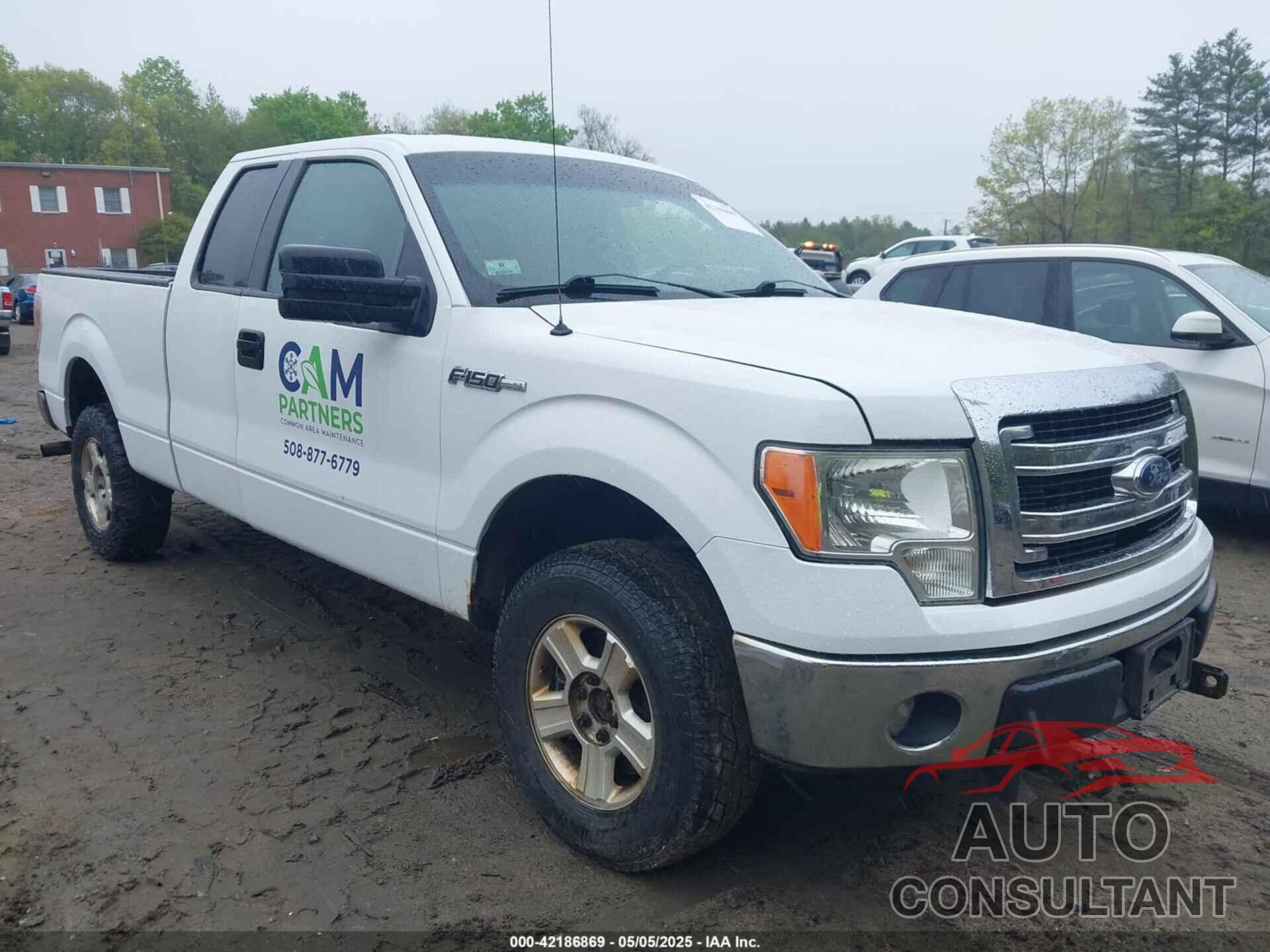 FORD F-150 2013 - 1FTFX1EF0DFA84252