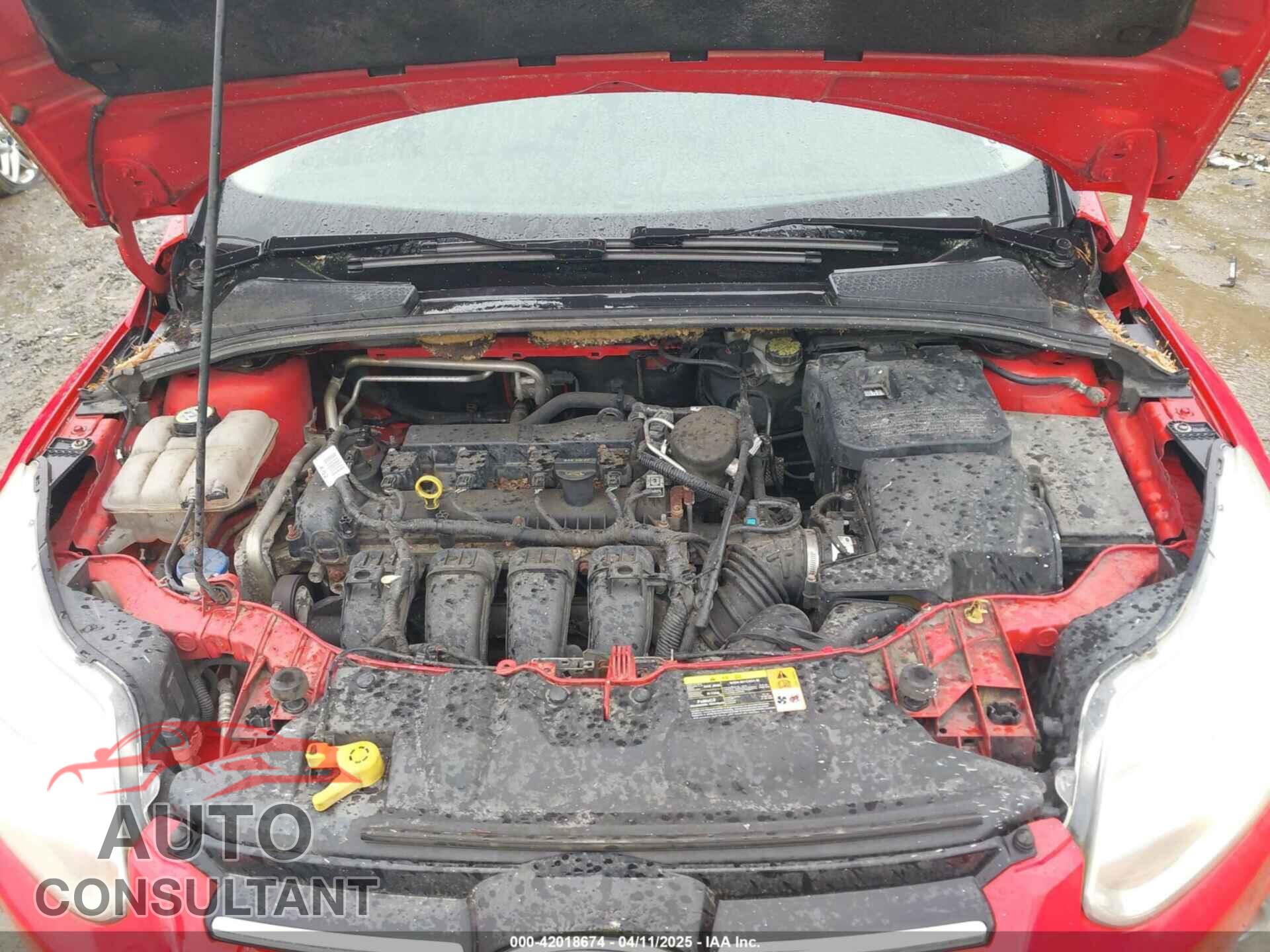 FORD FOCUS 2012 - 1FAHP3H25CL162575