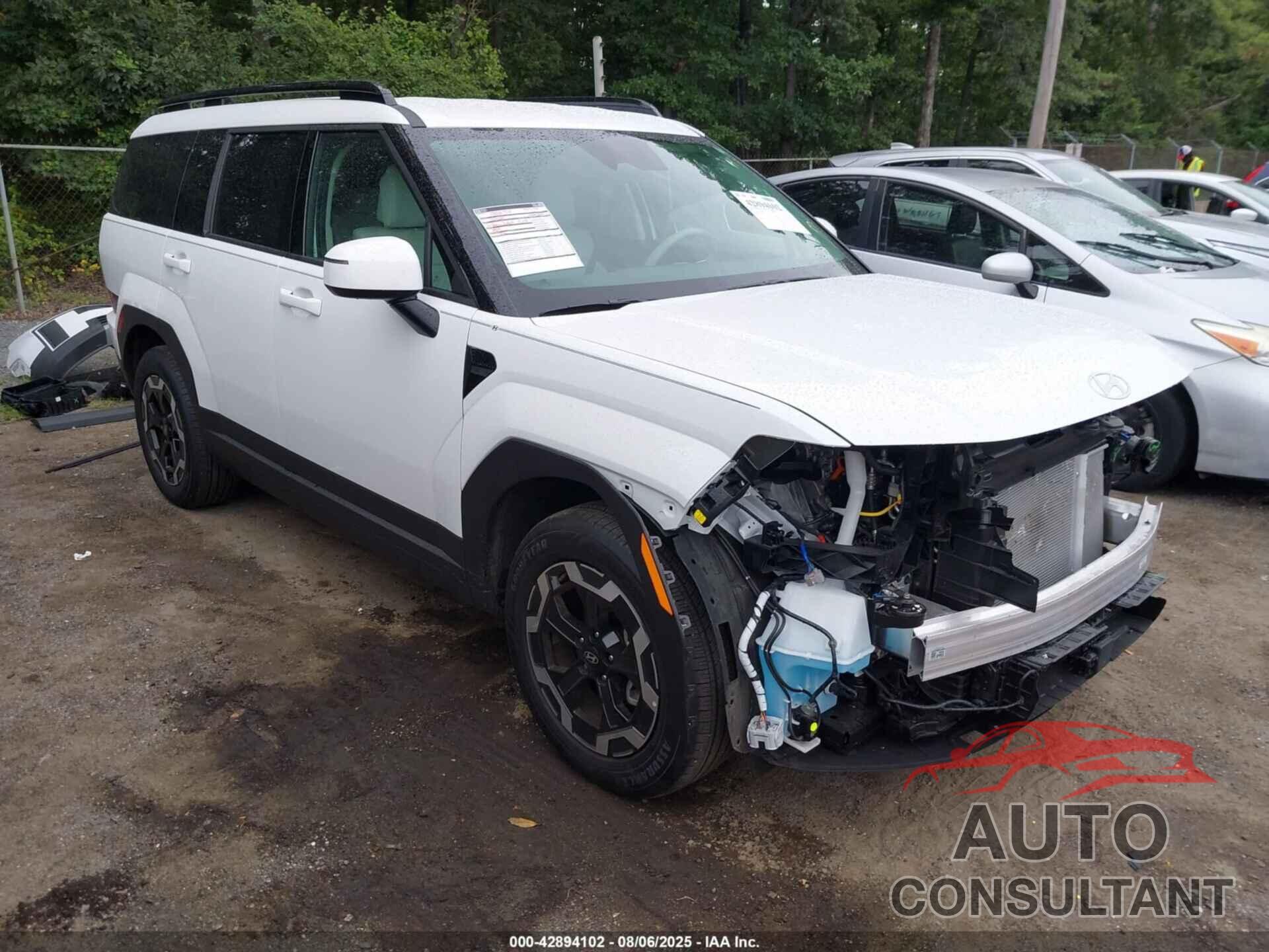 HYUNDAI SANTA FE 2024 - 5NMP24GL3RH010857