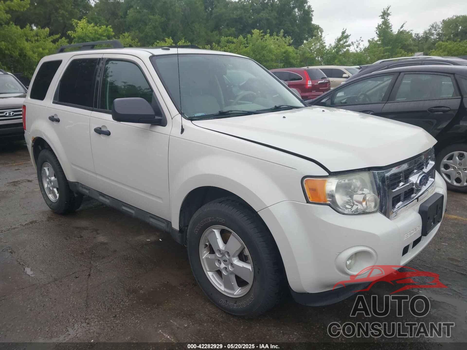 FORD ESCAPE 2010 - 1FMCU0D71AKD00544