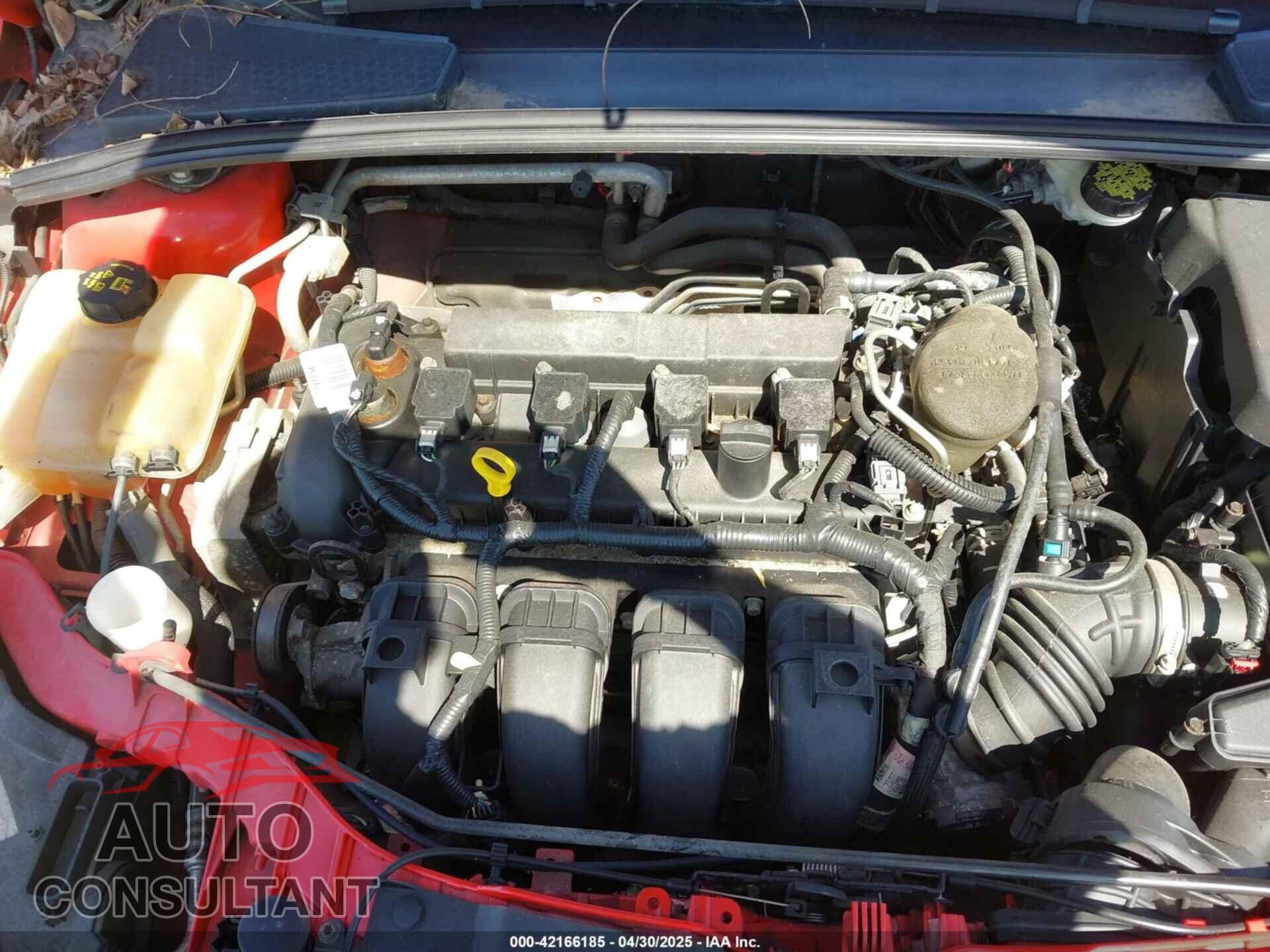 FORD FOCUS 2016 - 1FADP3K21GL294326