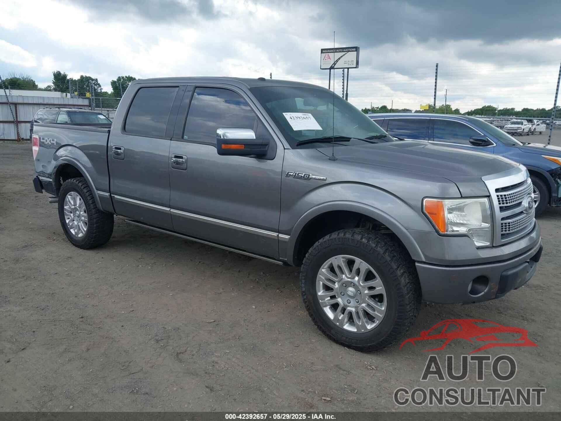 FORD F-150 2010 - 1FTFW1EV1AFB66142
