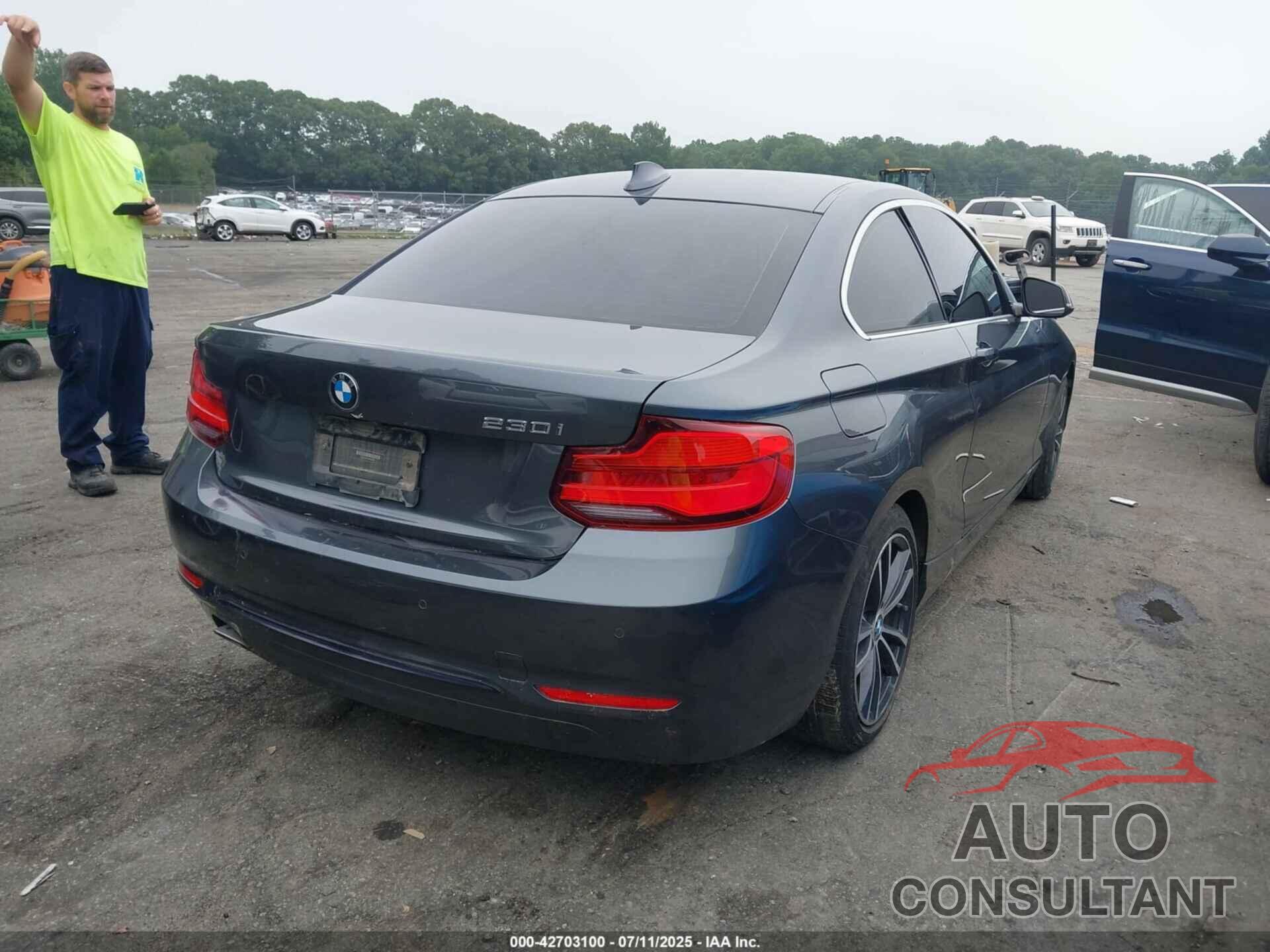 BMW 230I 2019 - WBA2J1C51K7D52548