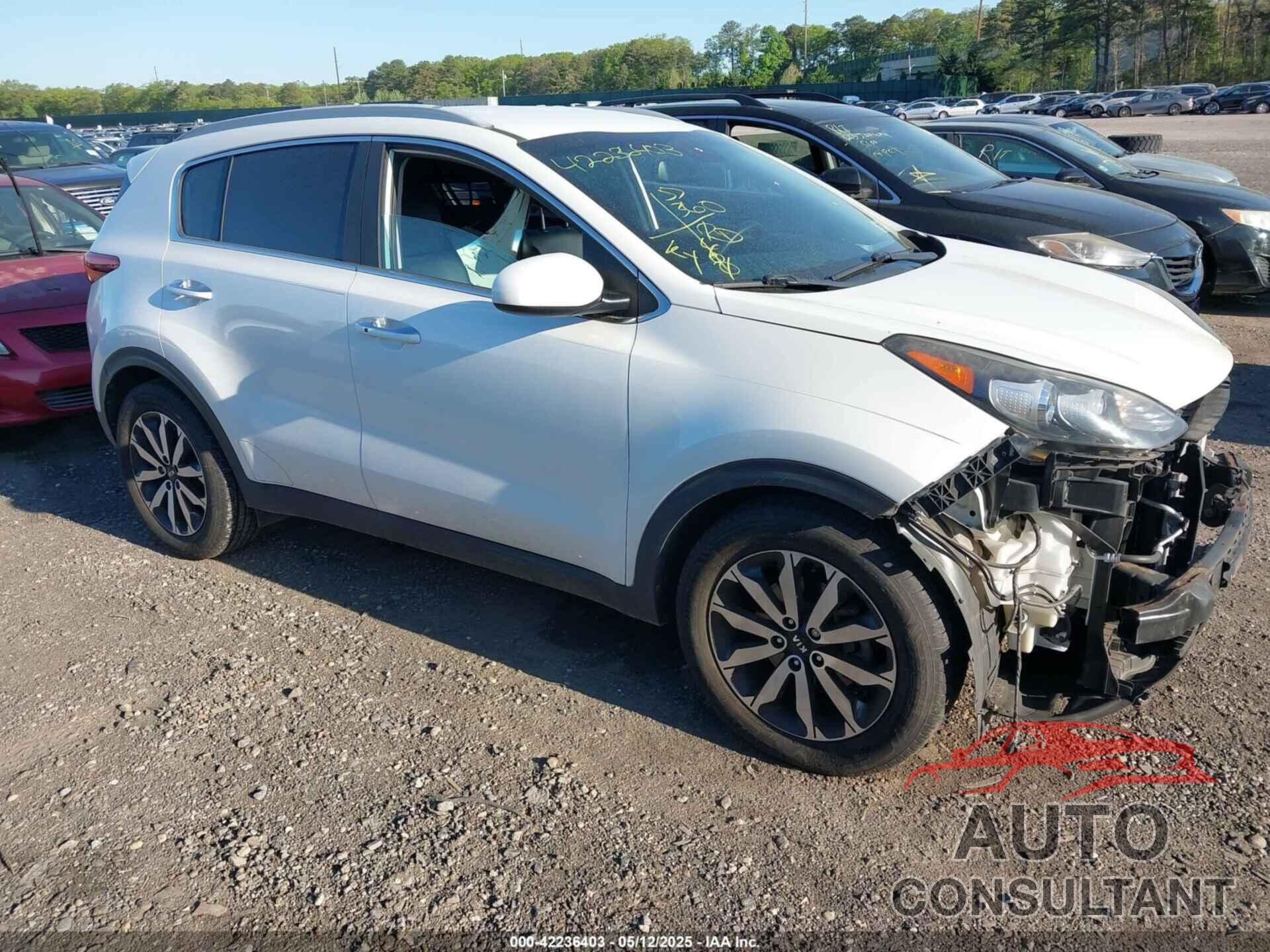 KIA SPORTAGE 2017 - KNDPN3AC6H7112508