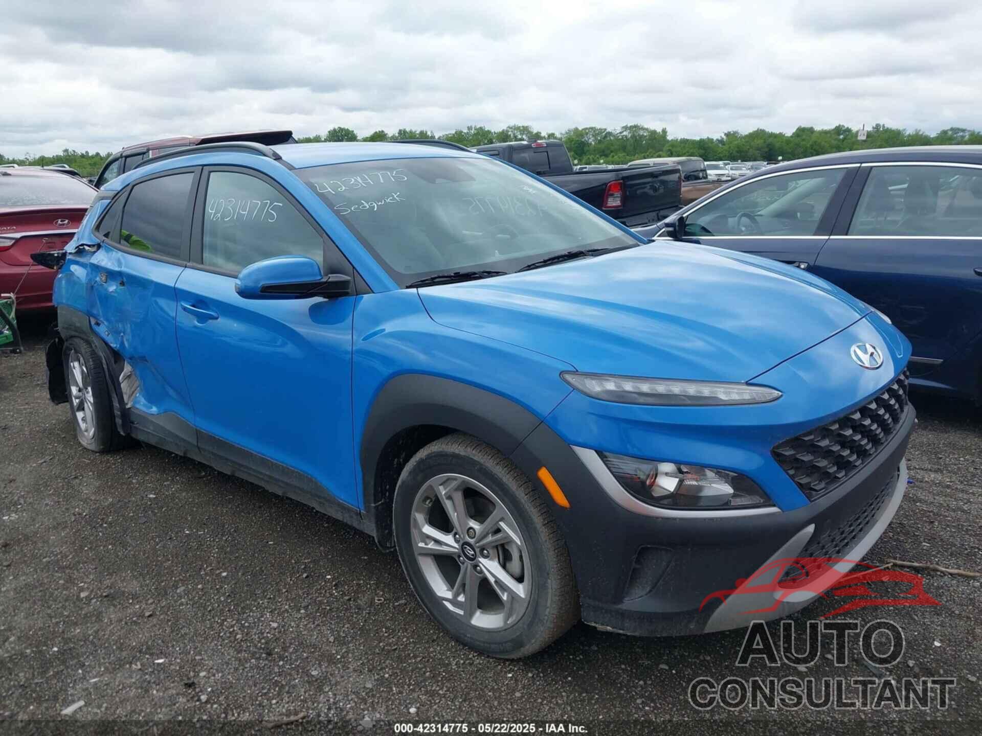 HYUNDAI KONA 2022 - KM8K62AB9NU812511
