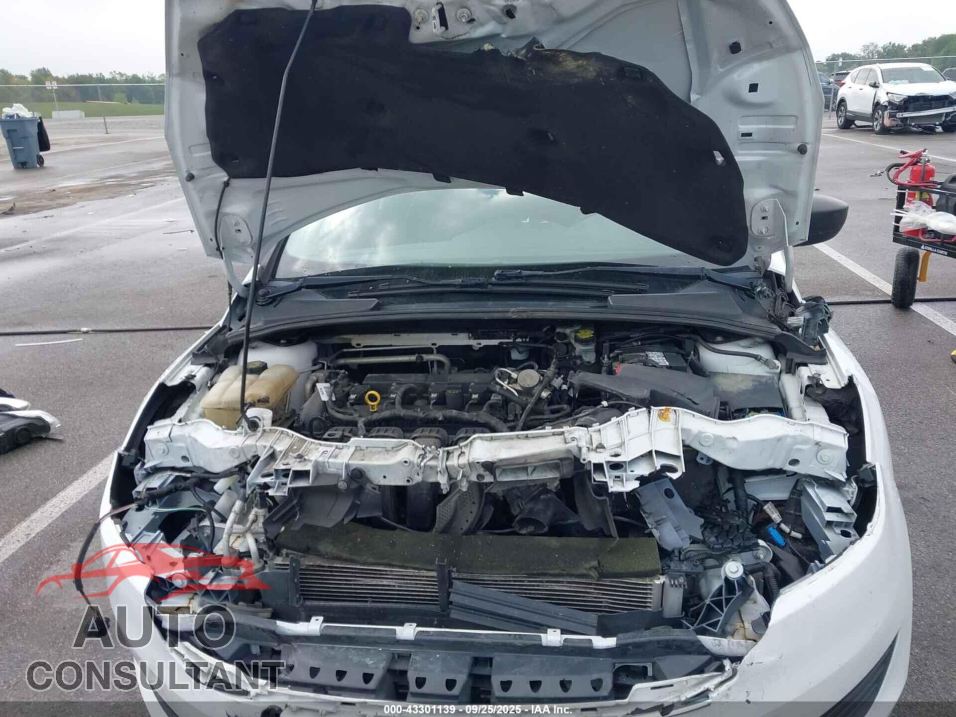 FORD FOCUS 2016 - 1FADP3E27GL325669