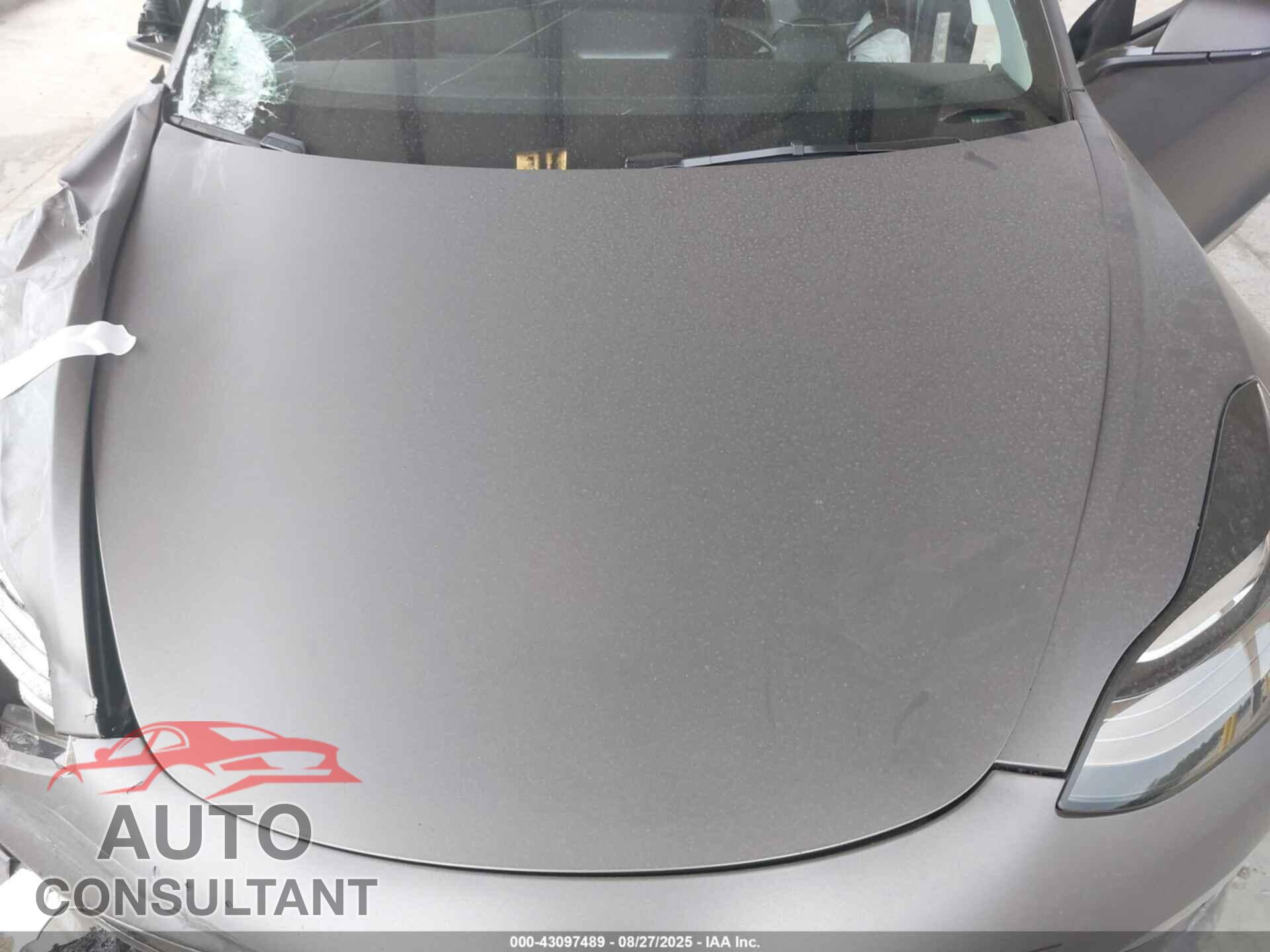 TESLA MODEL 3 2019 - 5YJ3E1EB6KF392873