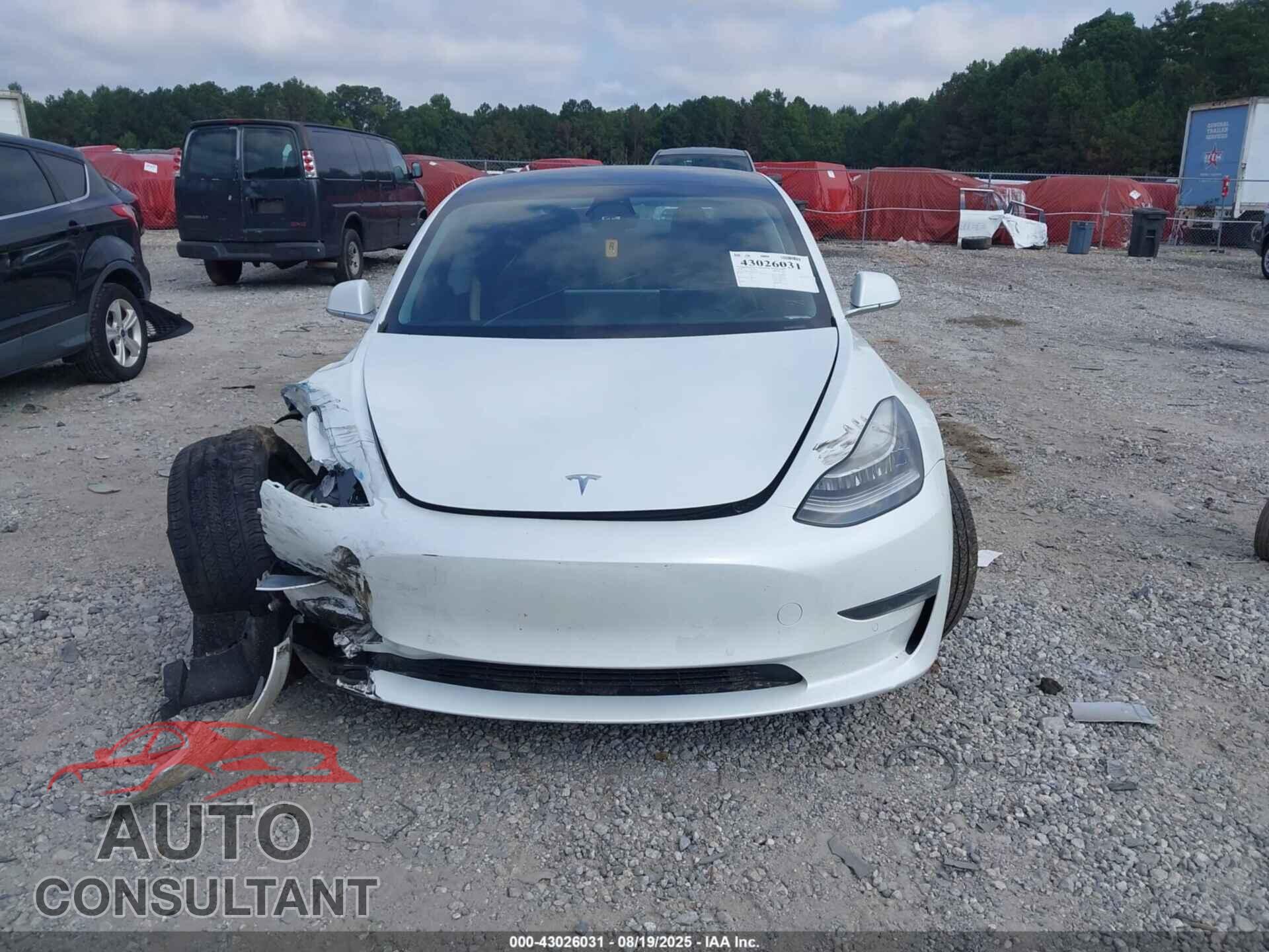 TESLA MODEL 3 2019 - 5YJ3E1EA1KF466434