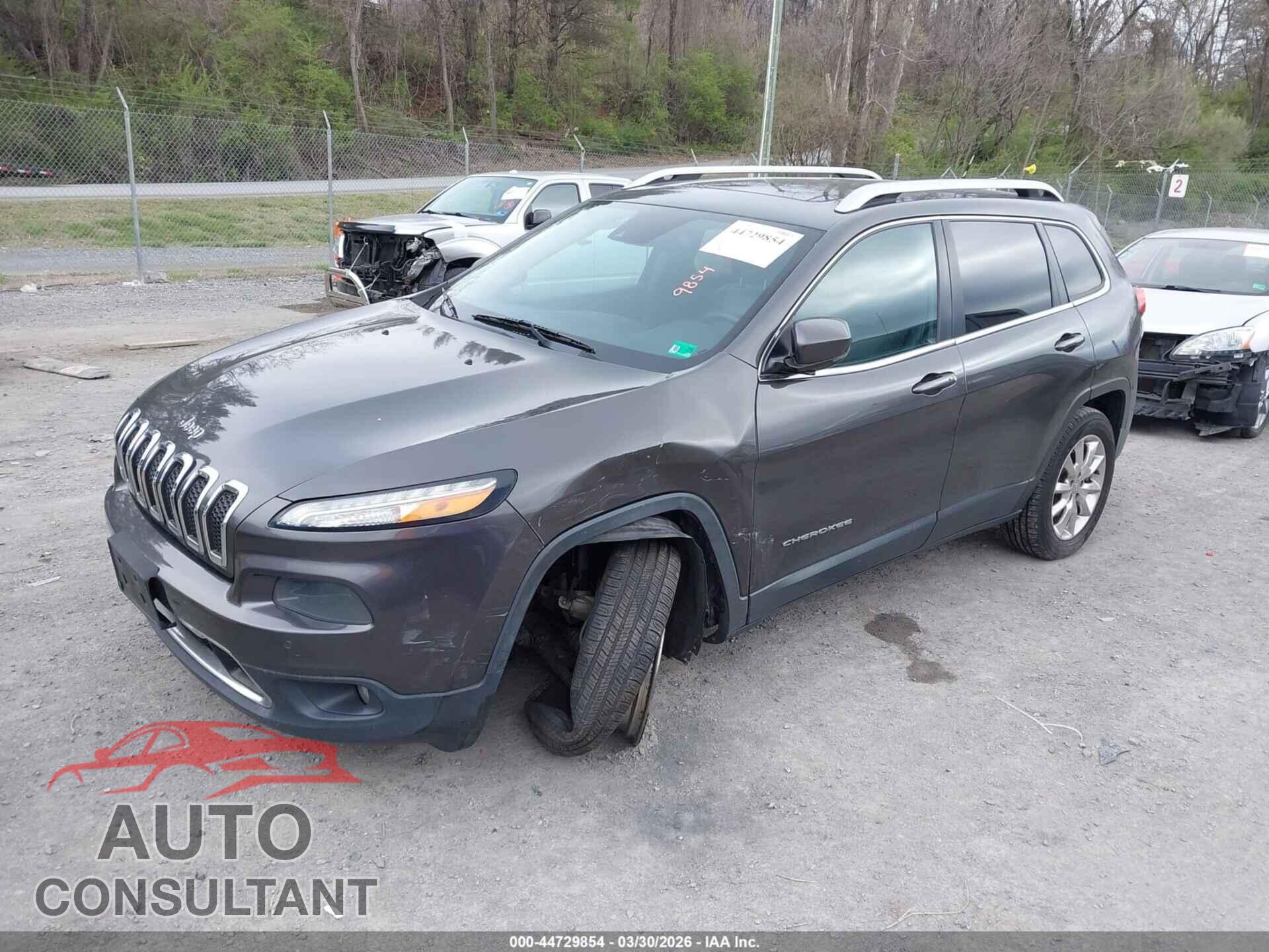 JEEP CHEROKEE 2014 - 1C4PJMDS1EW250706