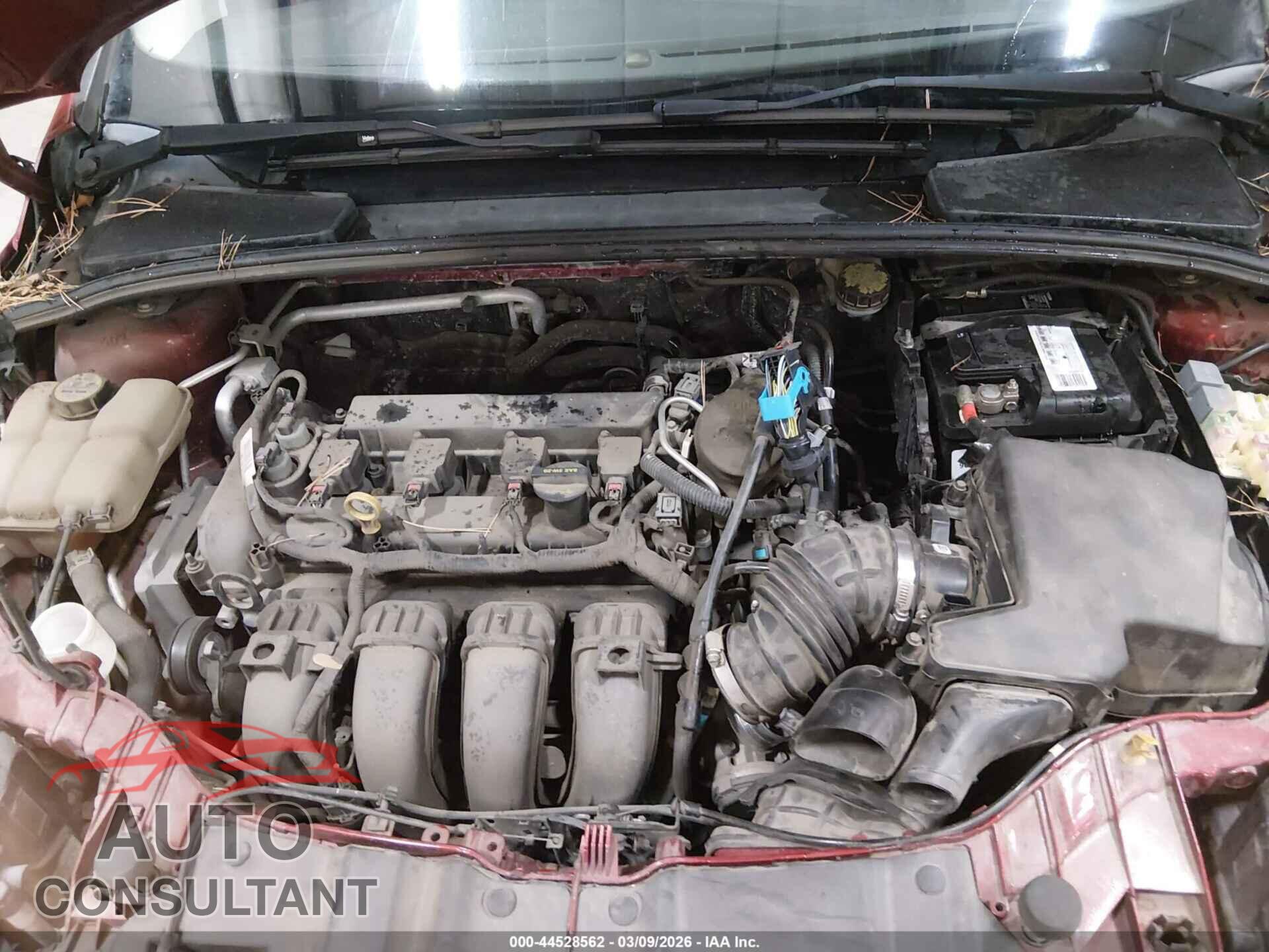 FORD FOCUS 2013 - 1FADP3F21DL318680