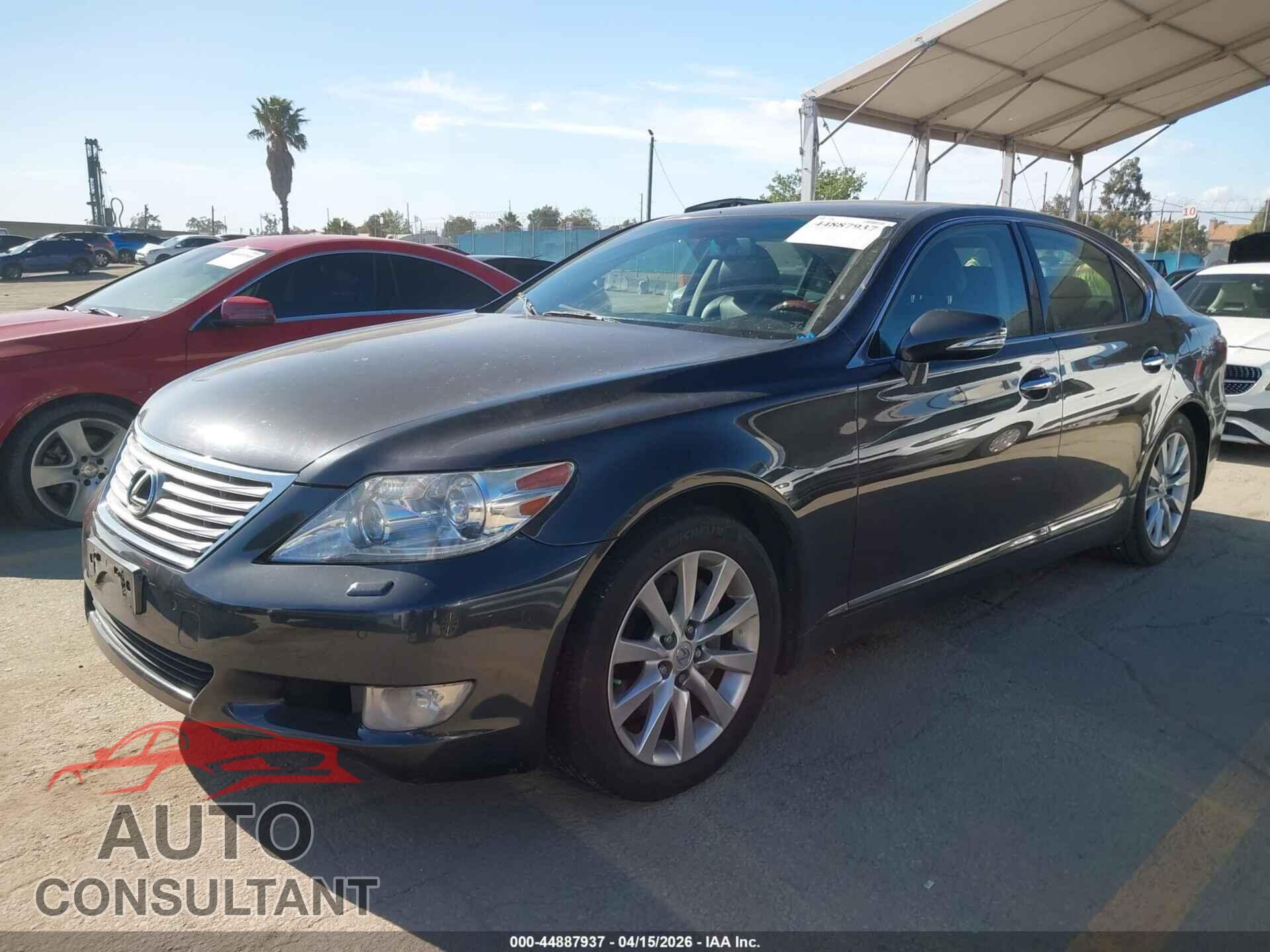LEXUS LS 460 2011 - JTHBL5EF5B5105499