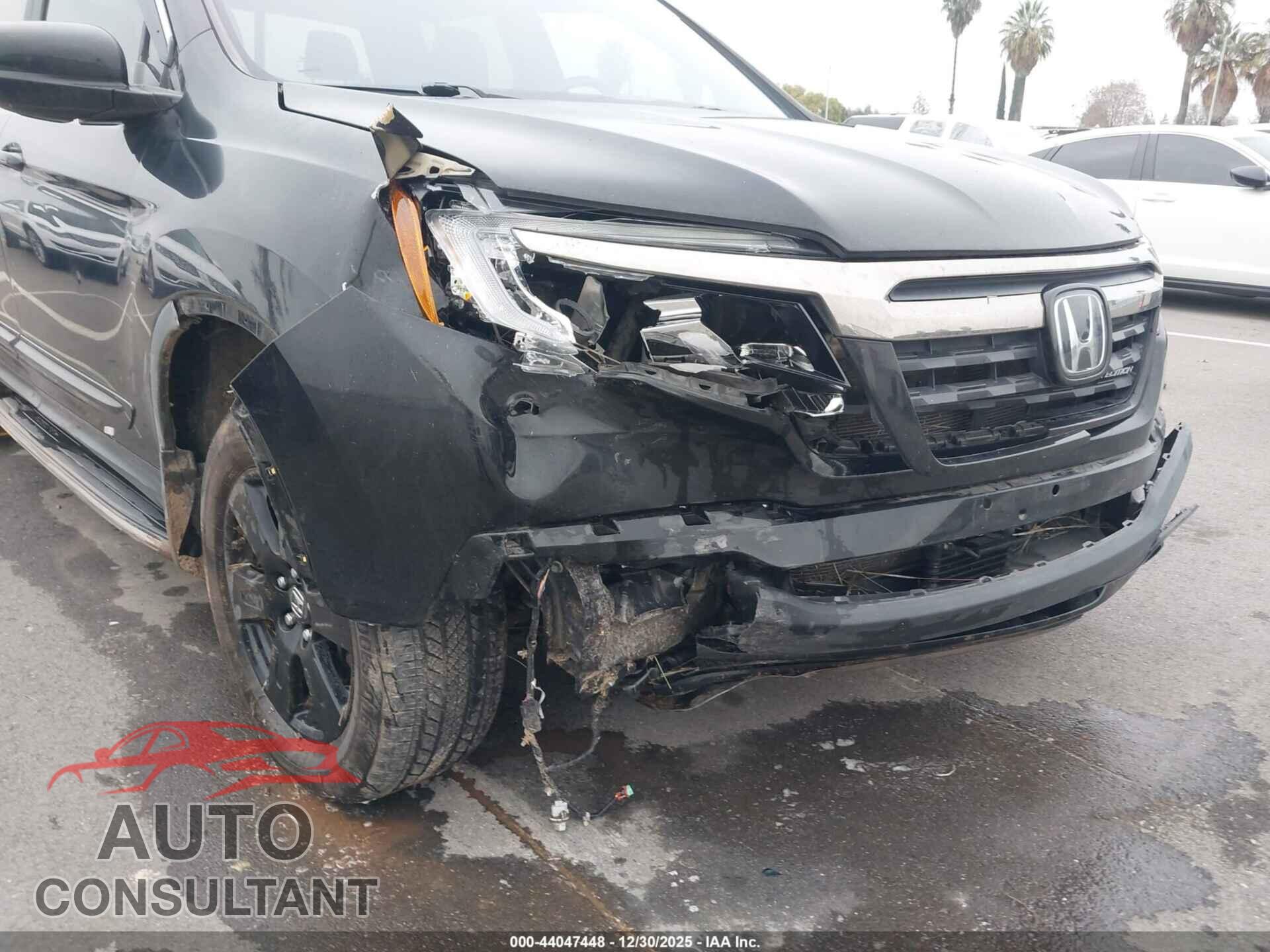 HONDA RIDGELINE 2019 - 5FPYK3F88KB048286