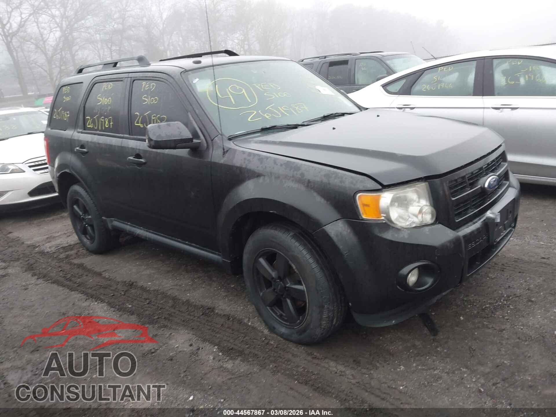 FORD ESCAPE 2011 - 1FMCU9DG2BKB38302