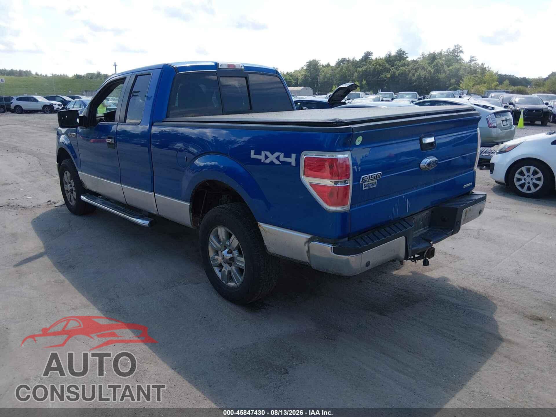FORD F-150 2011 - 1FTFX1EF5BKD15943
