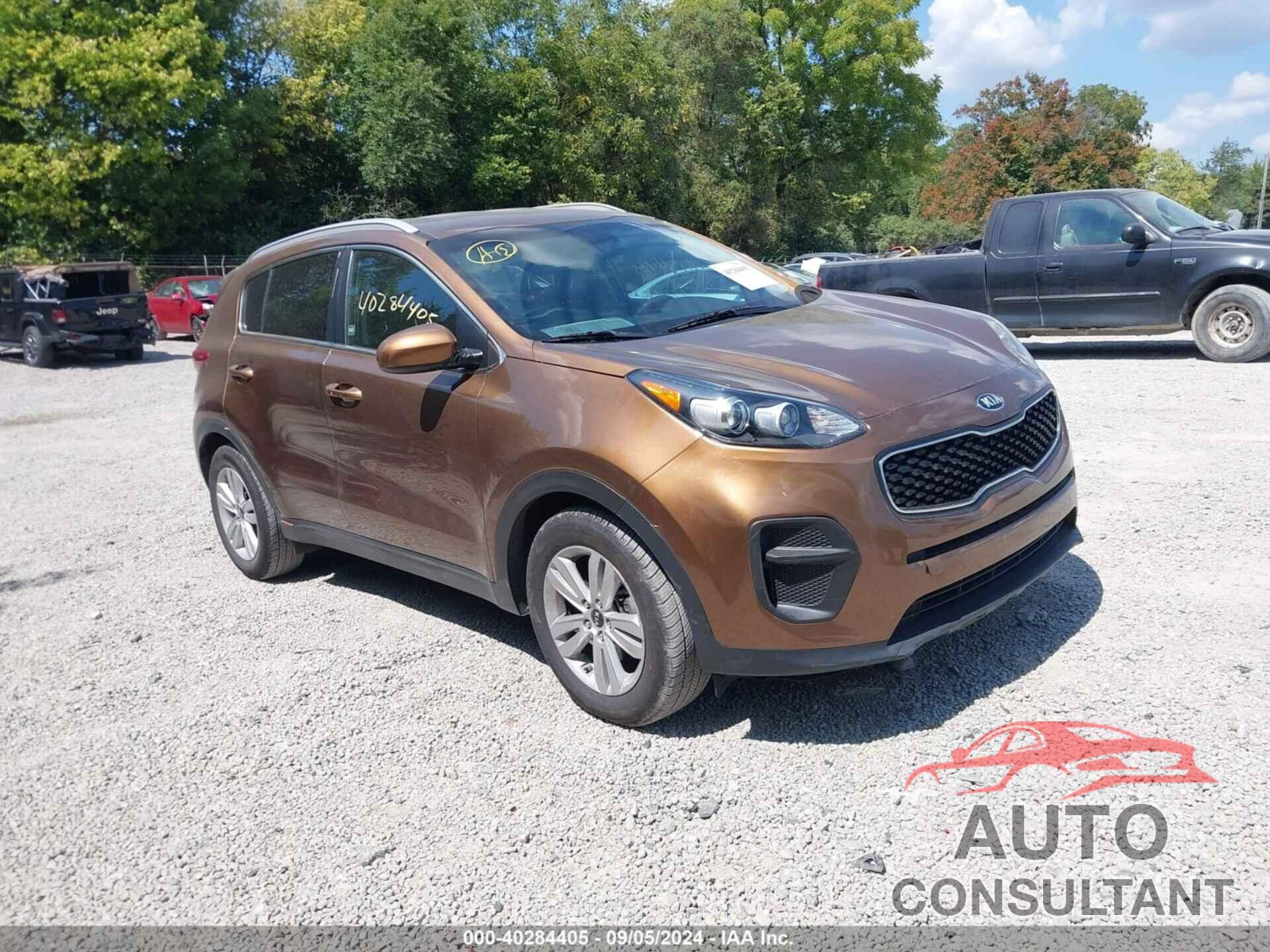 KIA SPORTAGE 2017 - KNDPM3AC6H7053222