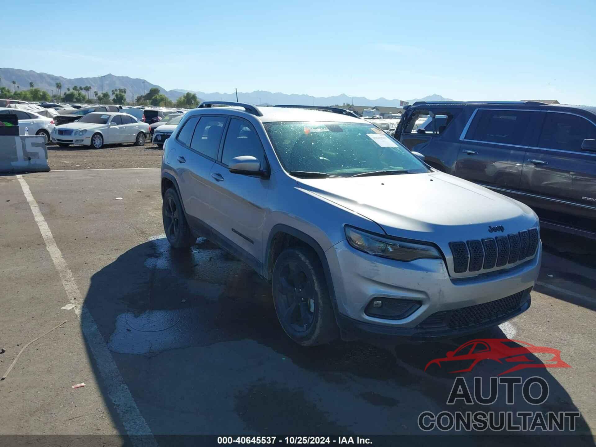 JEEP CHEROKEE 2020 - 1C4PJMLXXLD621707