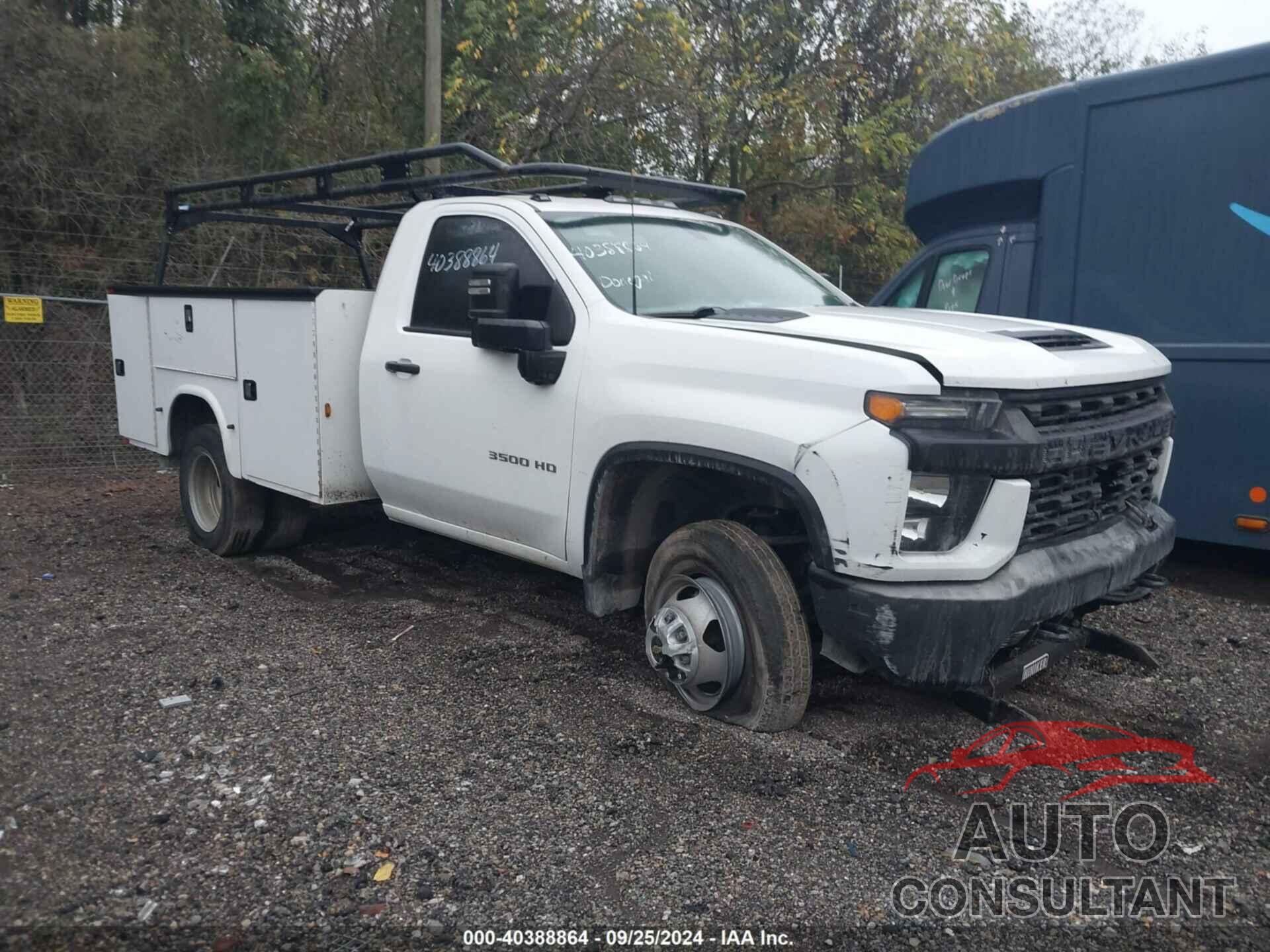 CHEVROLET SILVERADO 2020 - 1GB3YSE71LF269055