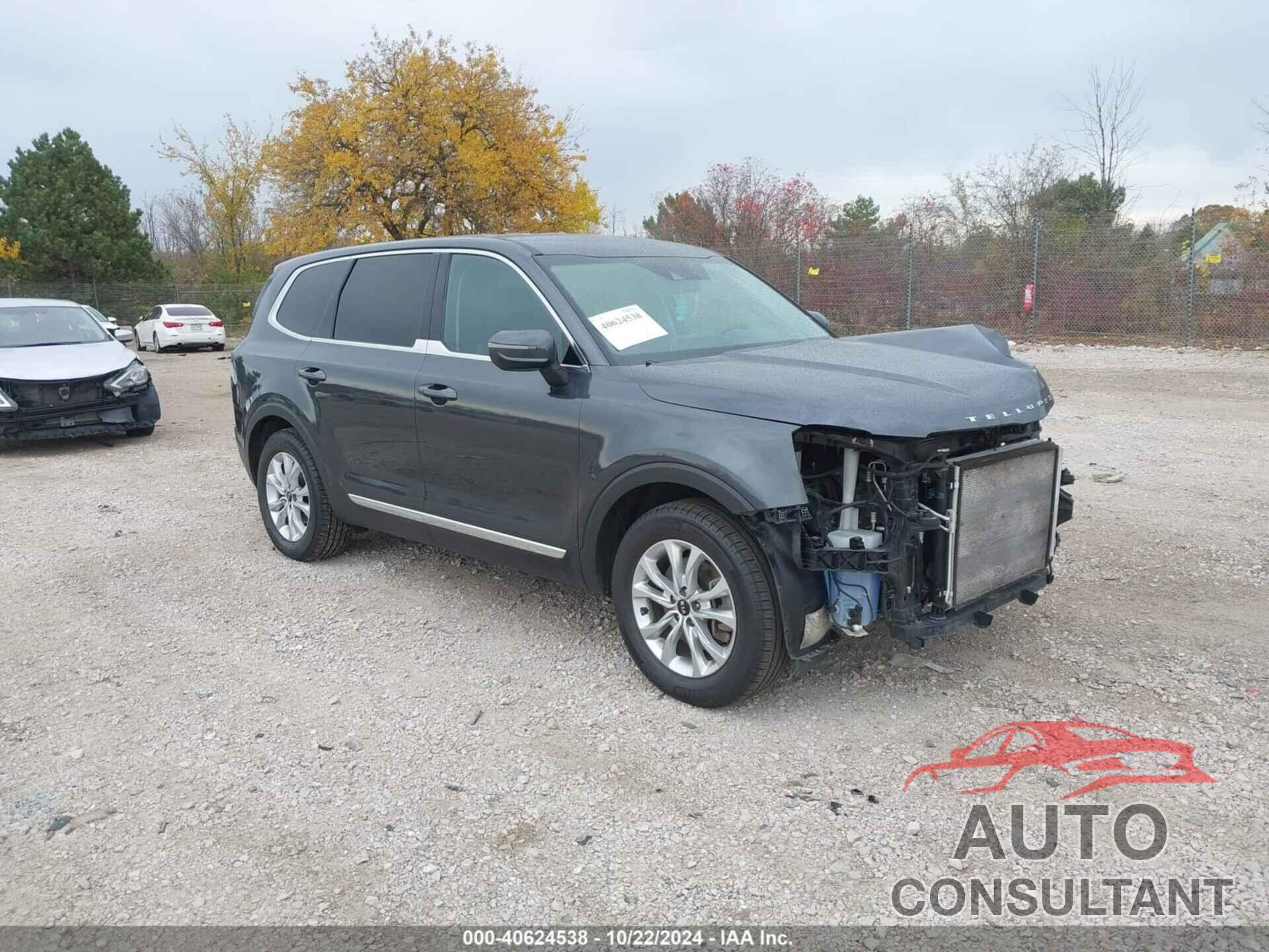 KIA TELLURIDE 2021 - 5XYP2DHC2MG100650