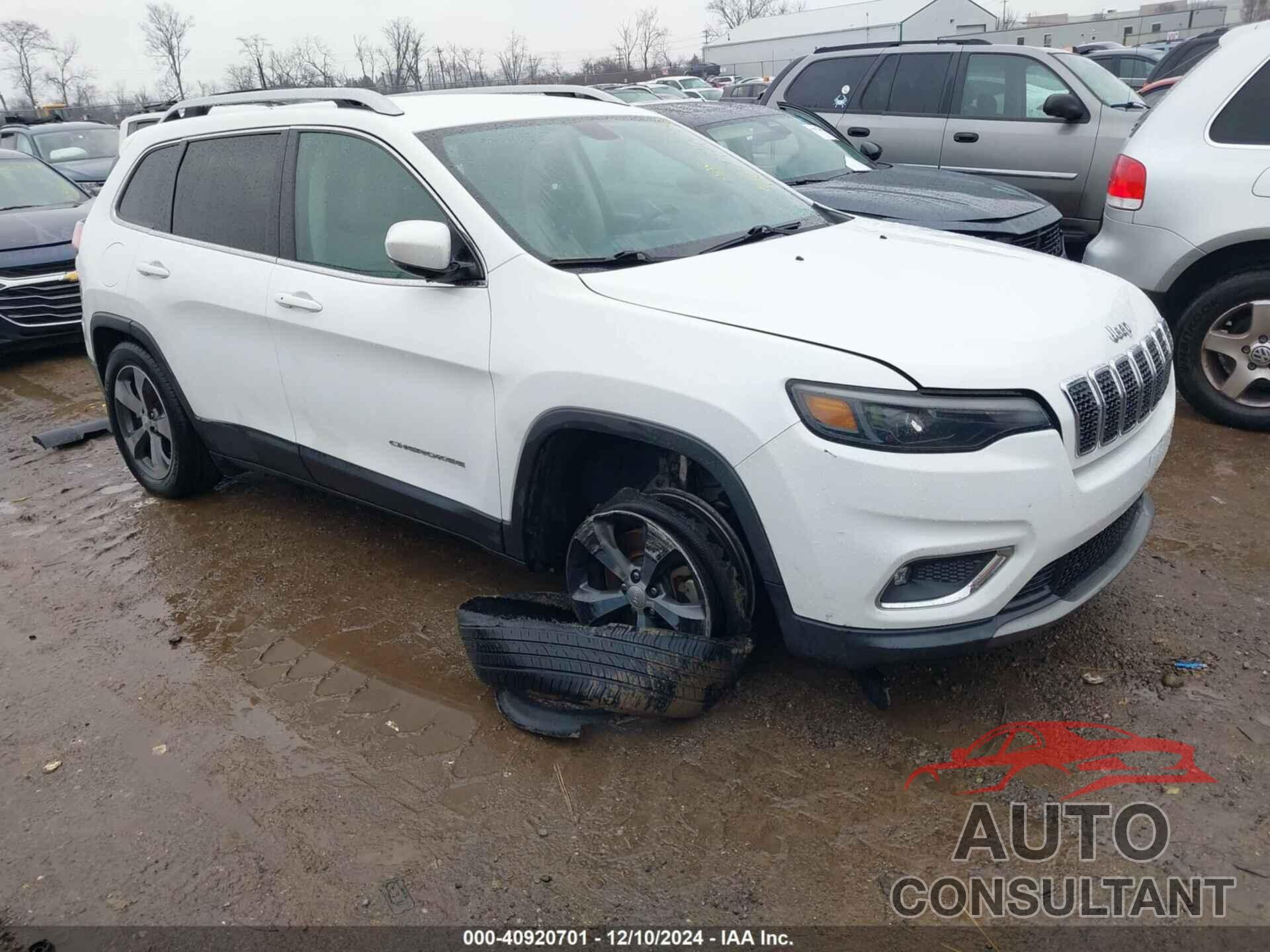 JEEP CHEROKEE 2019 - 1C4PJLDB0KD143888