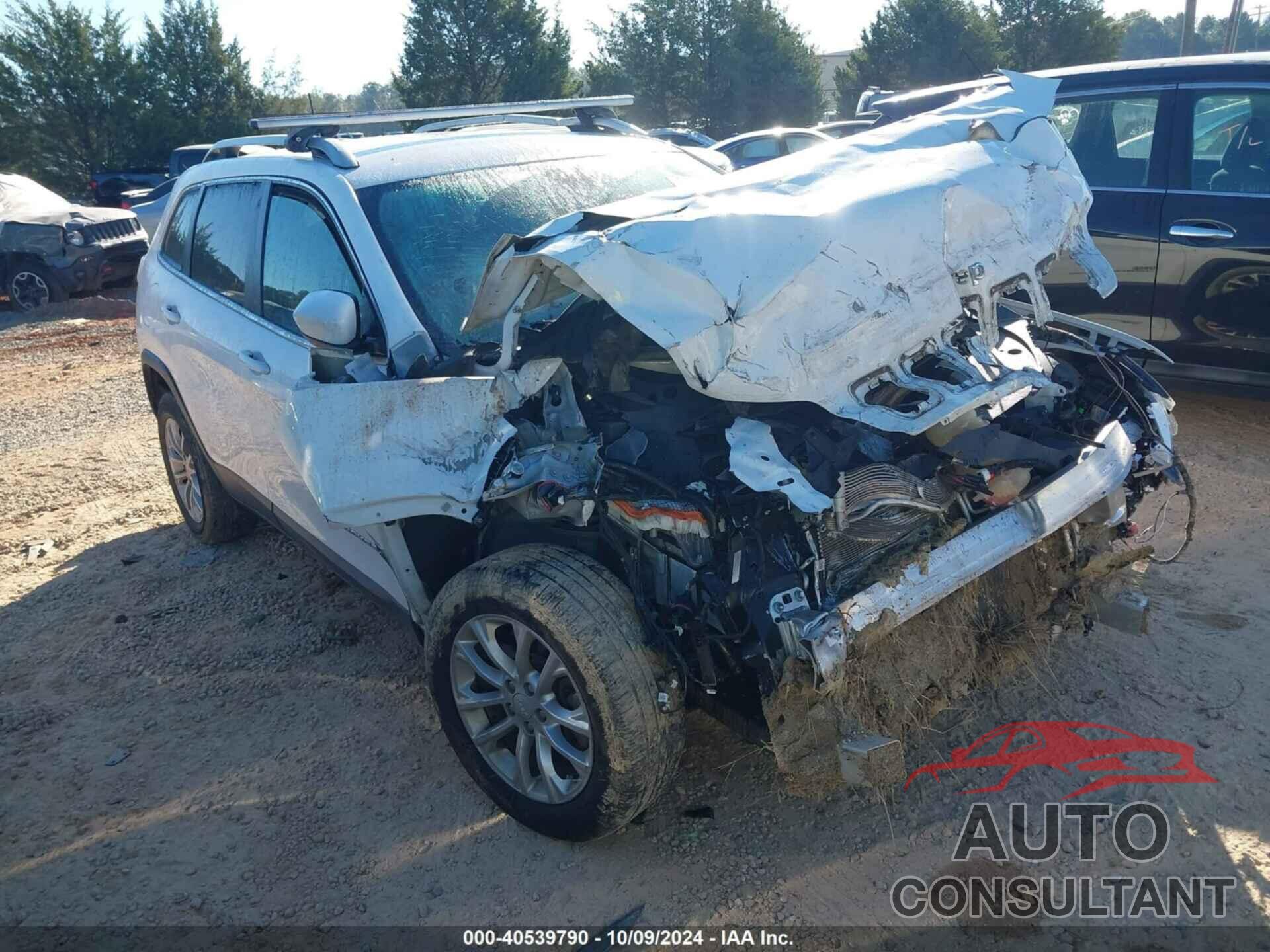 JEEP CHEROKEE 2019 - 1C4PJLCB2KD272426