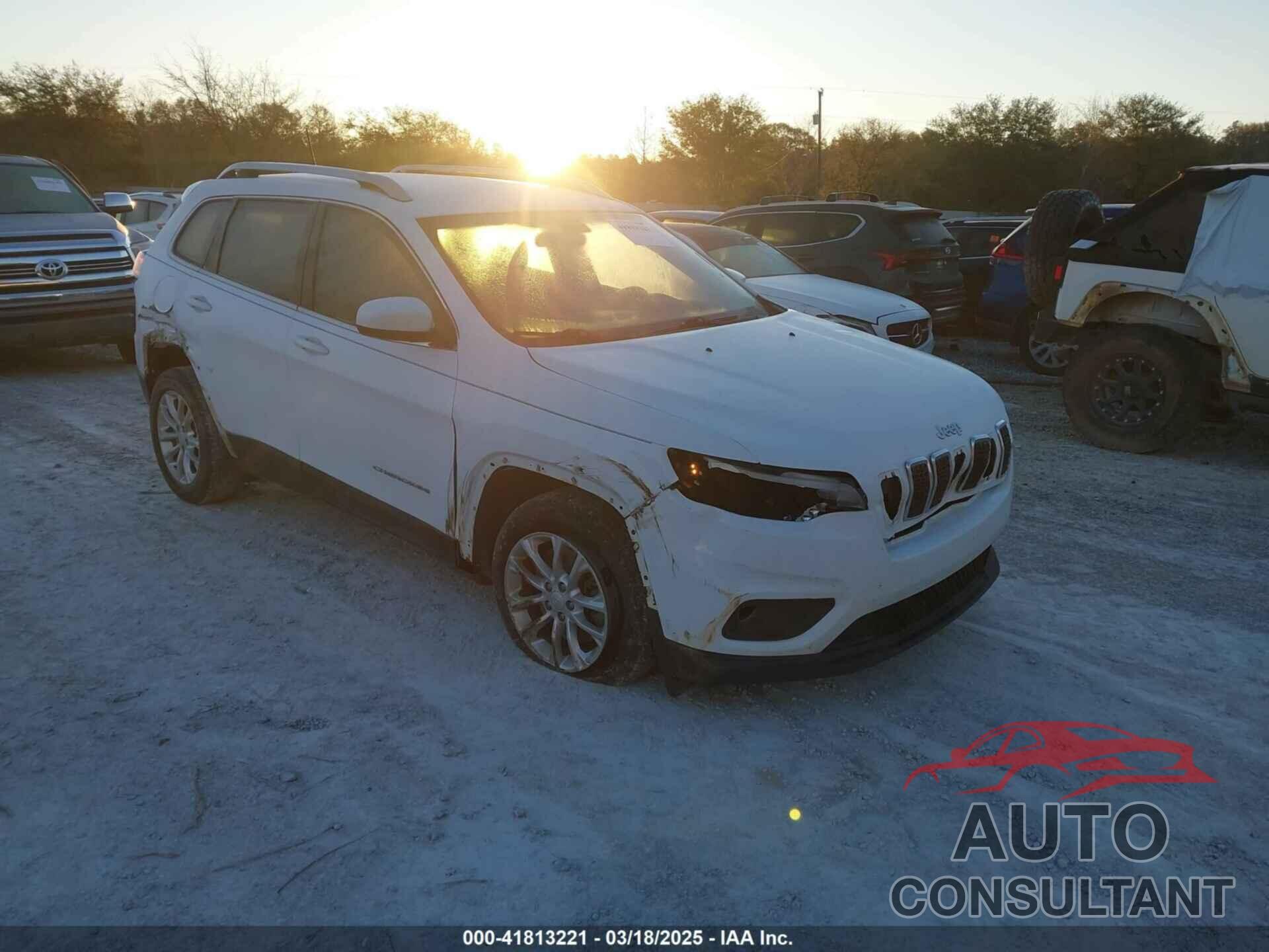 JEEP CHEROKEE 2019 - 1C4PJLCB1KD128463