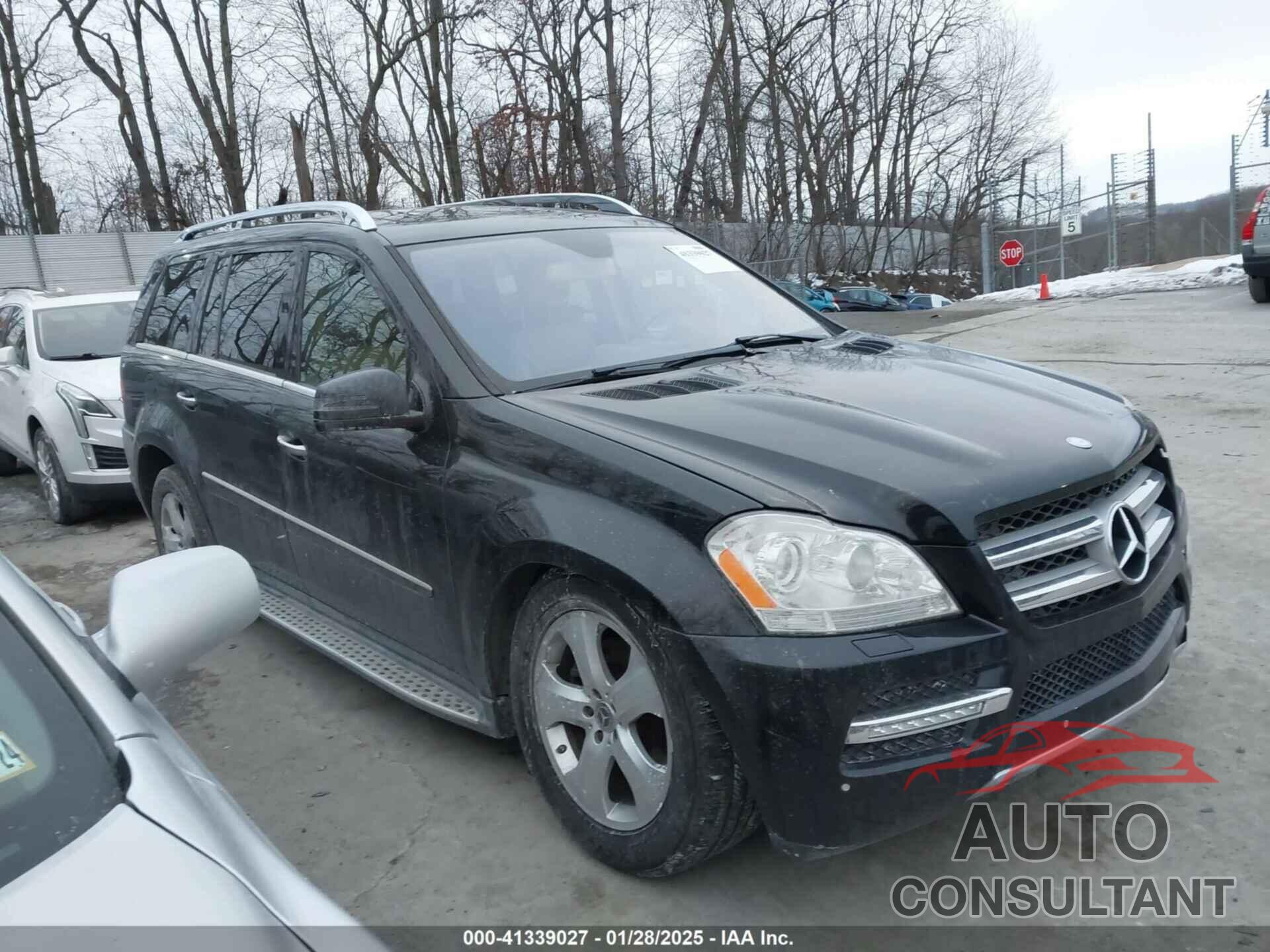 MERCEDES-BENZ GL 450 2012 - 4JGBF7BE9CA789784