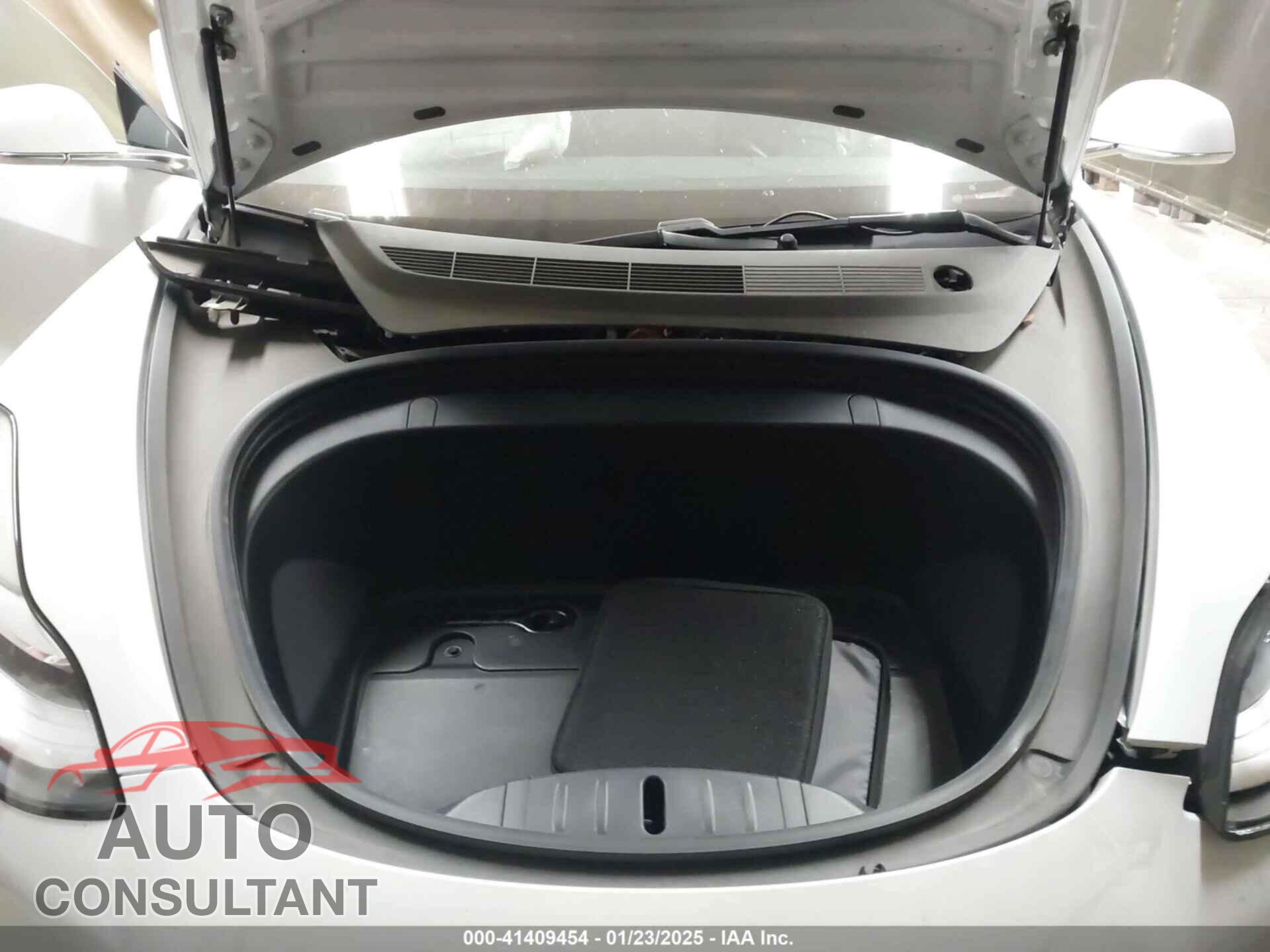 TESLA MODEL 3 2019 - 5YJ3E1EA2KF317529