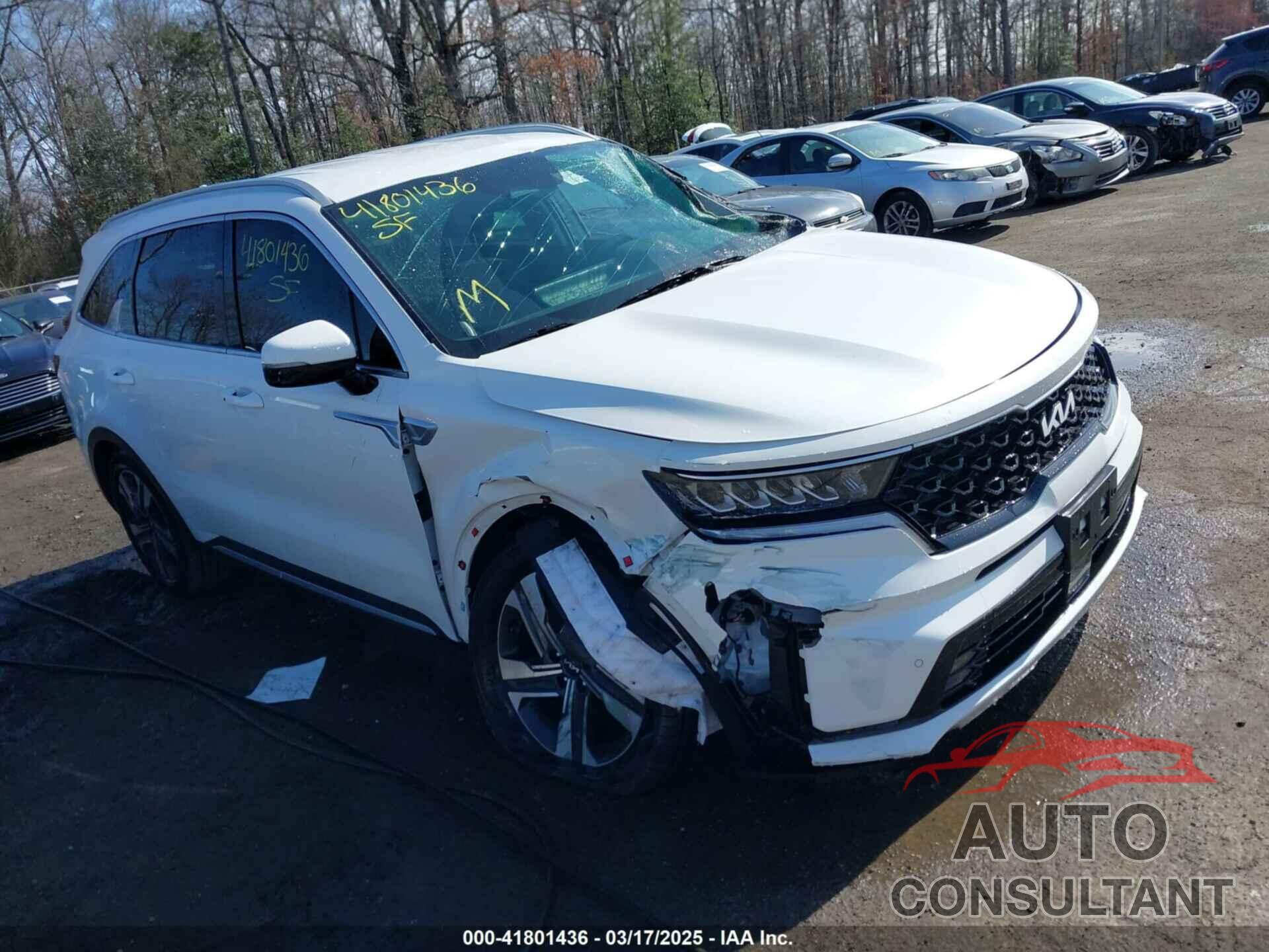 KIA SORENTO HYBRID 2024 - KNDRHDLG5R5259177