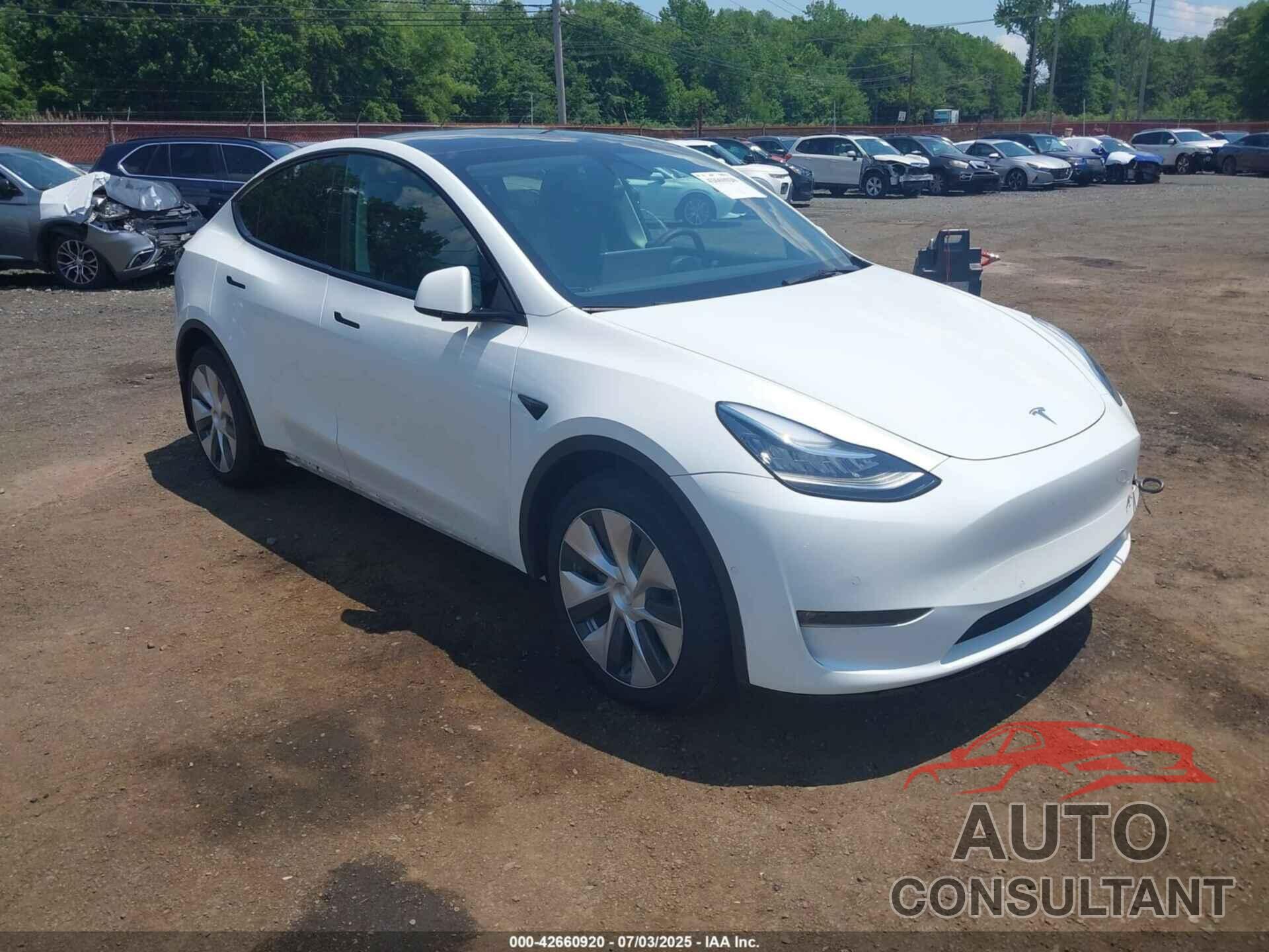 TESLA MODEL Y 2022 - 7SAYGAEE3NF517569