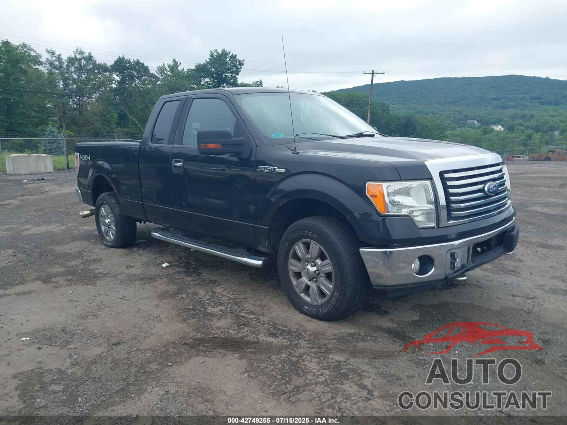 FORD F-150 2010 - 1FTFX1EV8AFC46471