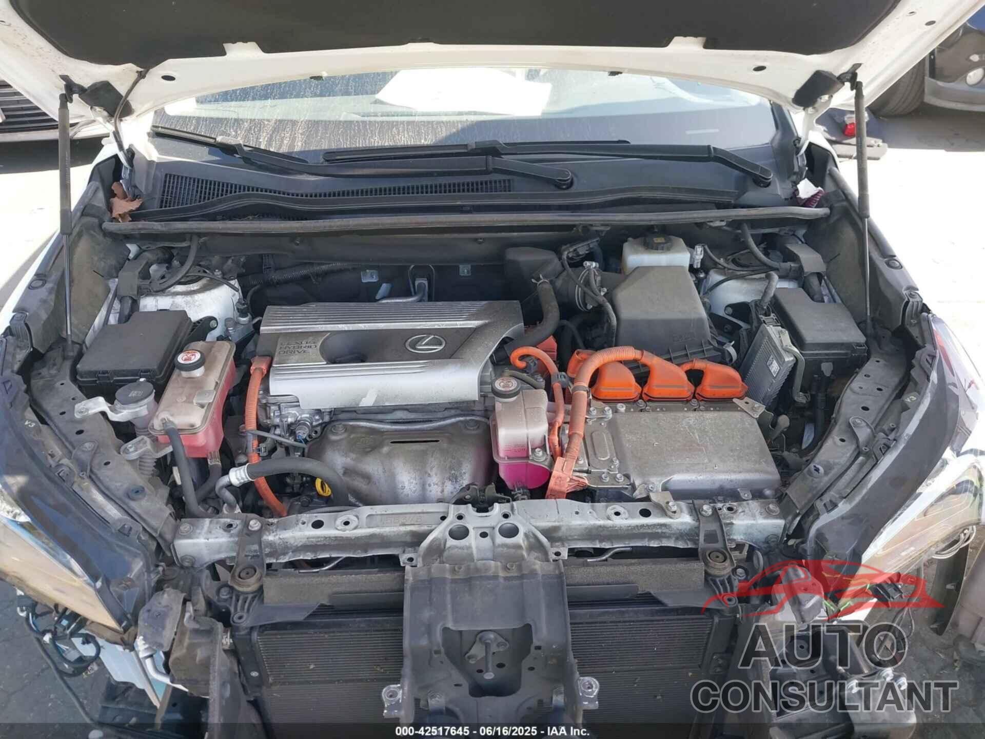 LEXUS NX 300H 2019 - JTJBJRBZ5K2117048