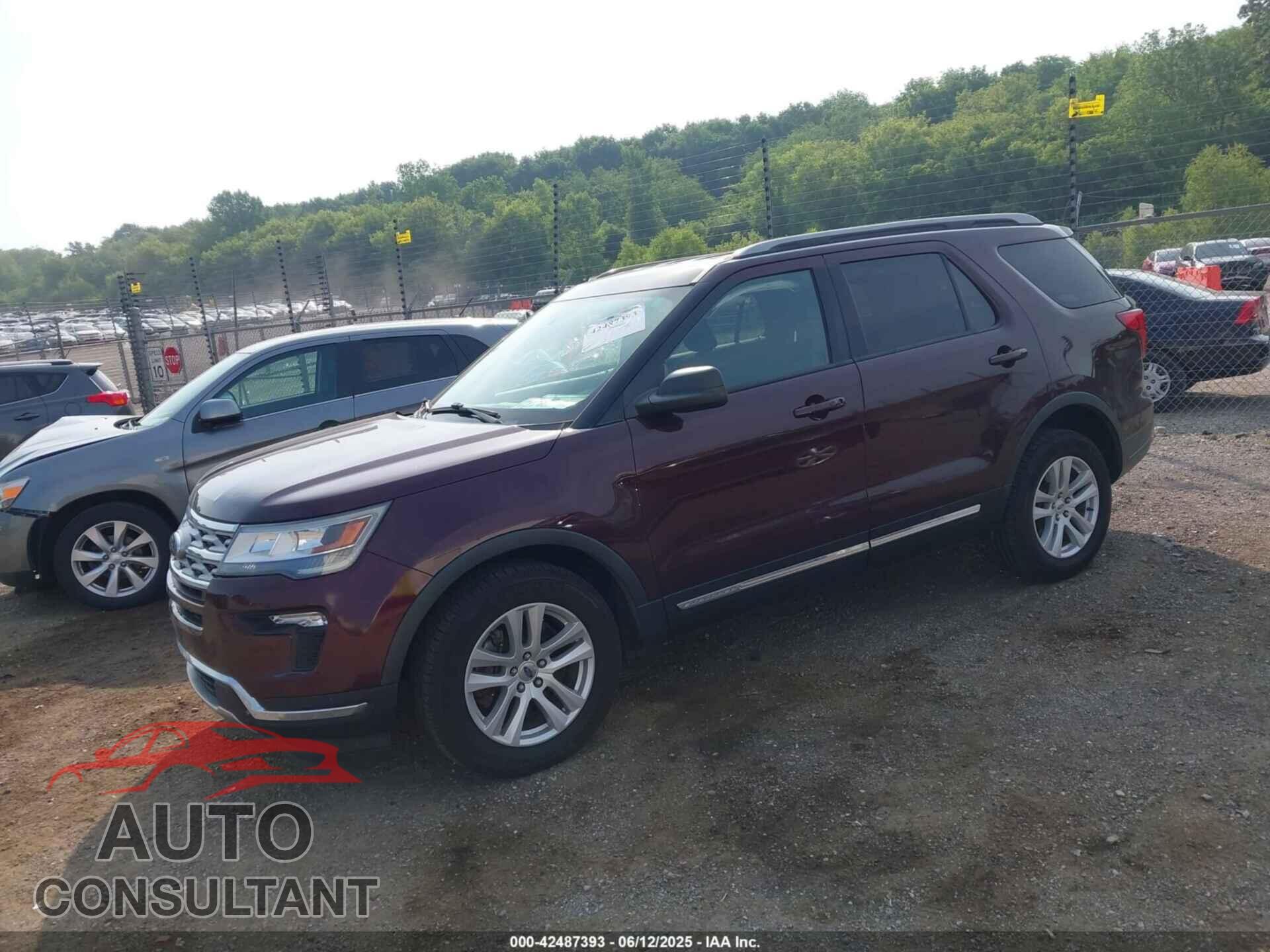 FORD EXPLORER 2019 - 1FM5K8D88KGA15527
