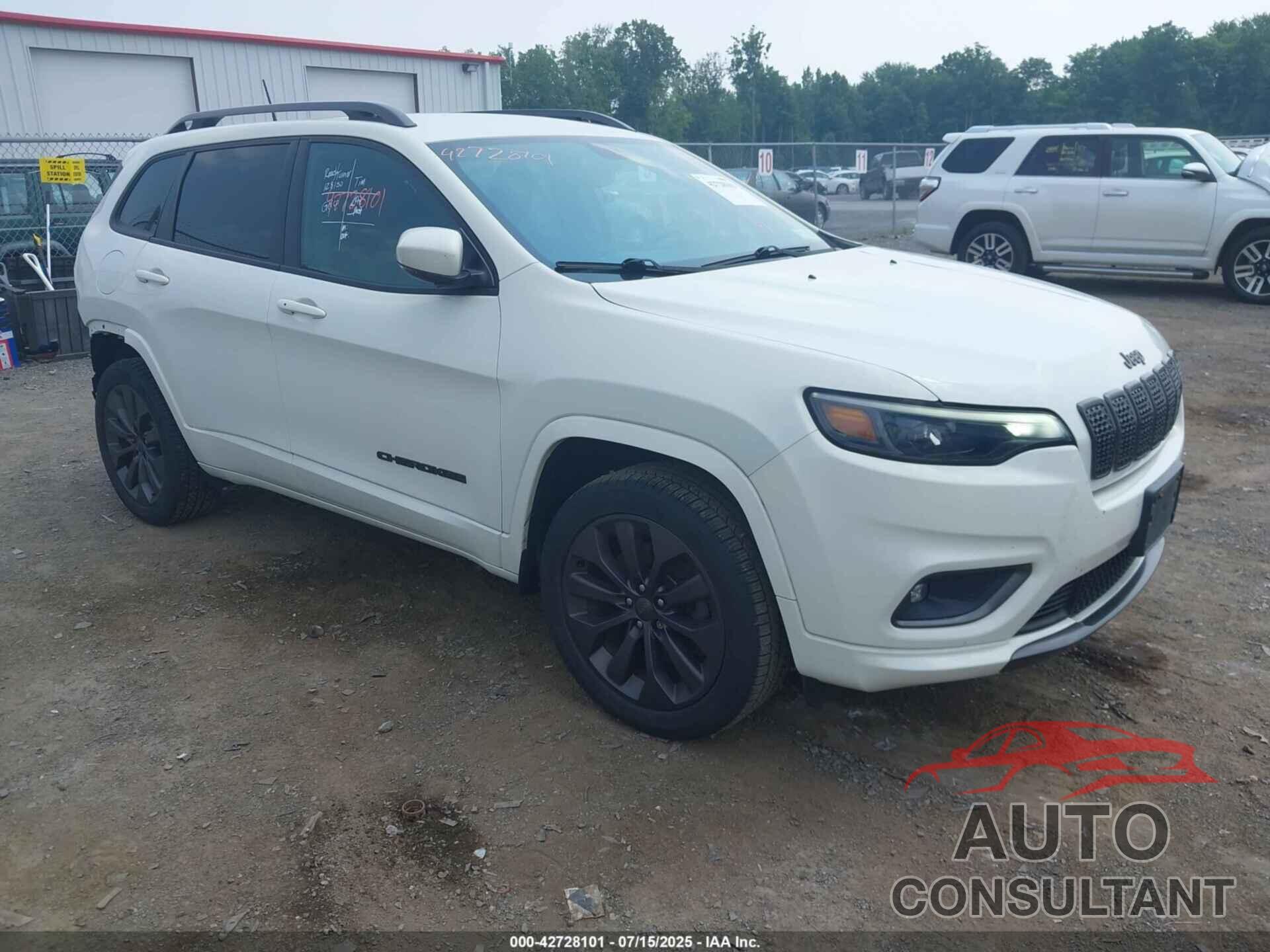 JEEP CHEROKEE 2019 - 1C4PJMDX1KD335175