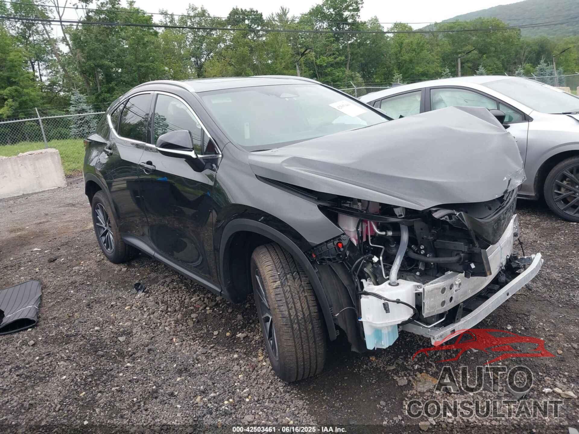 LEXUS NX 350H 2025 - 2T2GKCEZ7SC044244