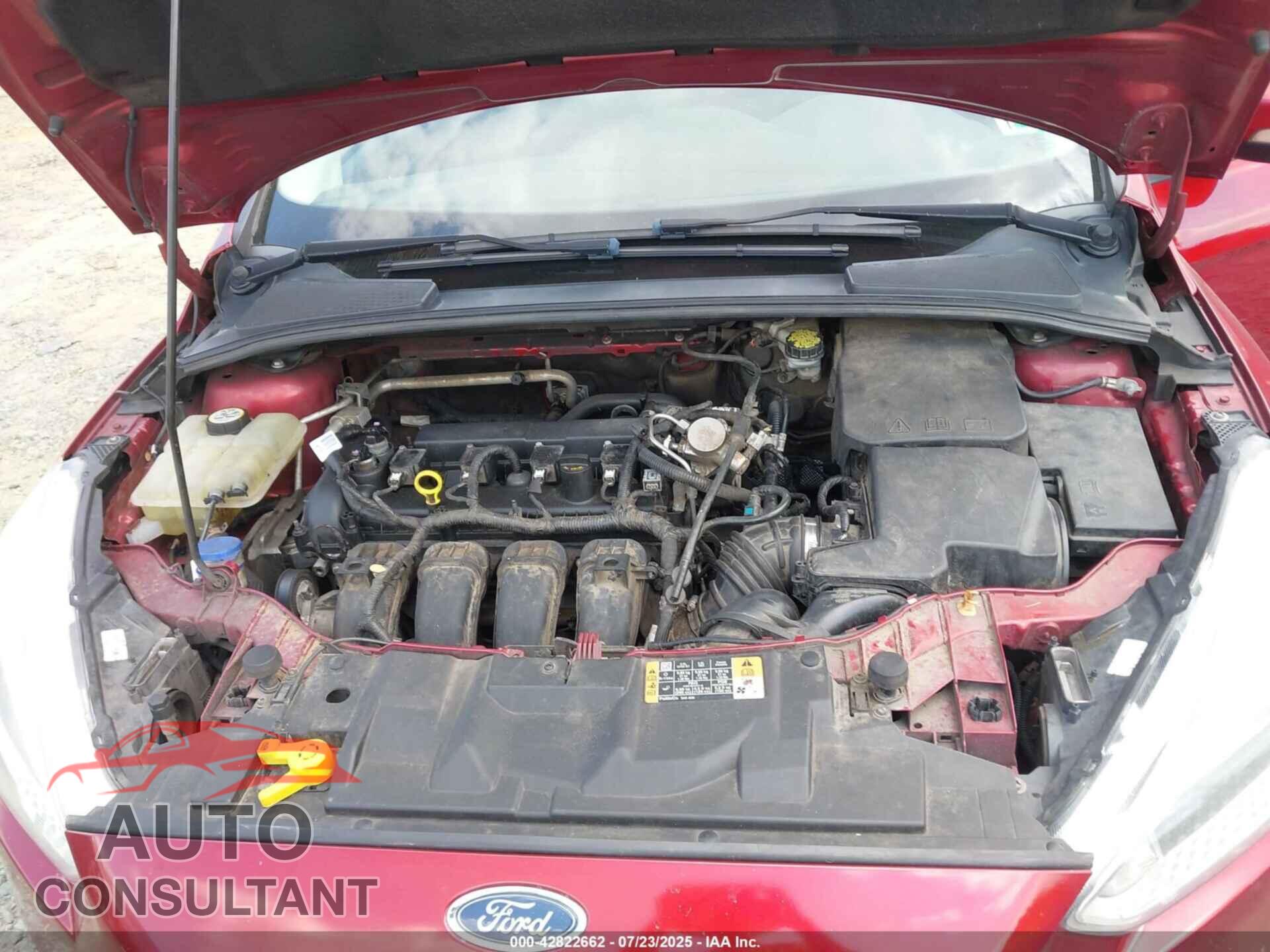 FORD FOCUS 2016 - 1FADP3F22GL368167