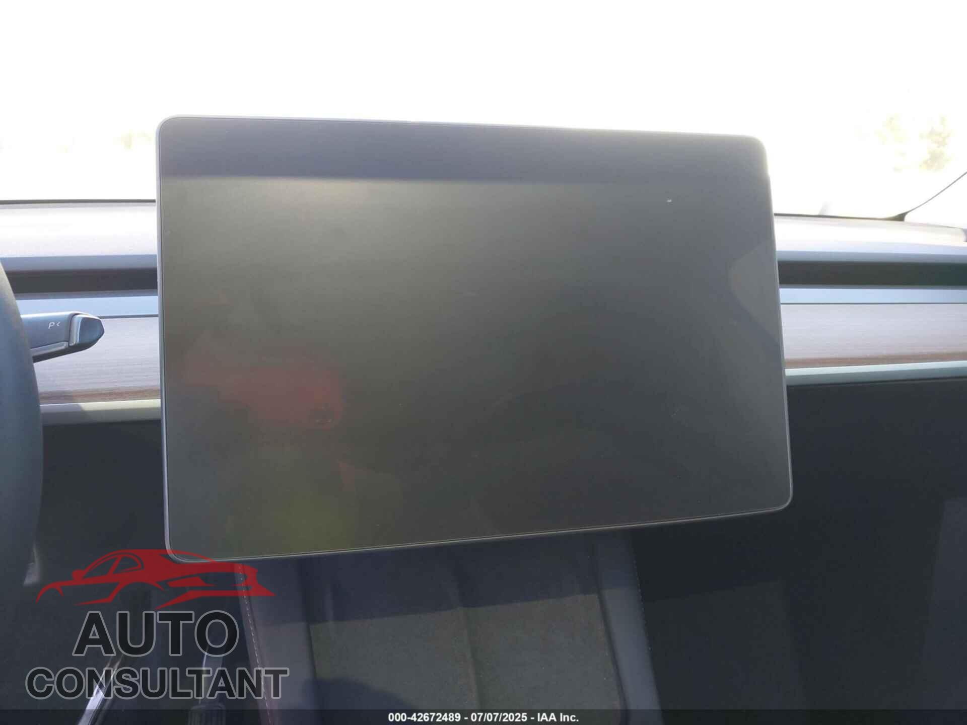 TESLA MODEL Y 2024 - 7SAYGDEE0RF160178