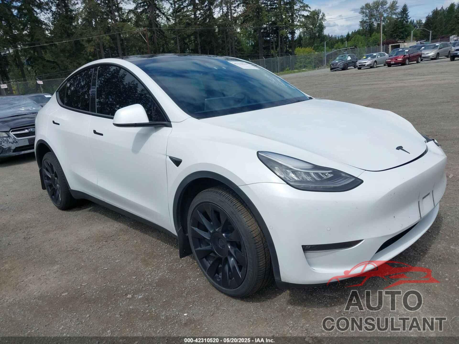 TESLA MODEL Y 2022 - 7SAYGDEE9NF494901