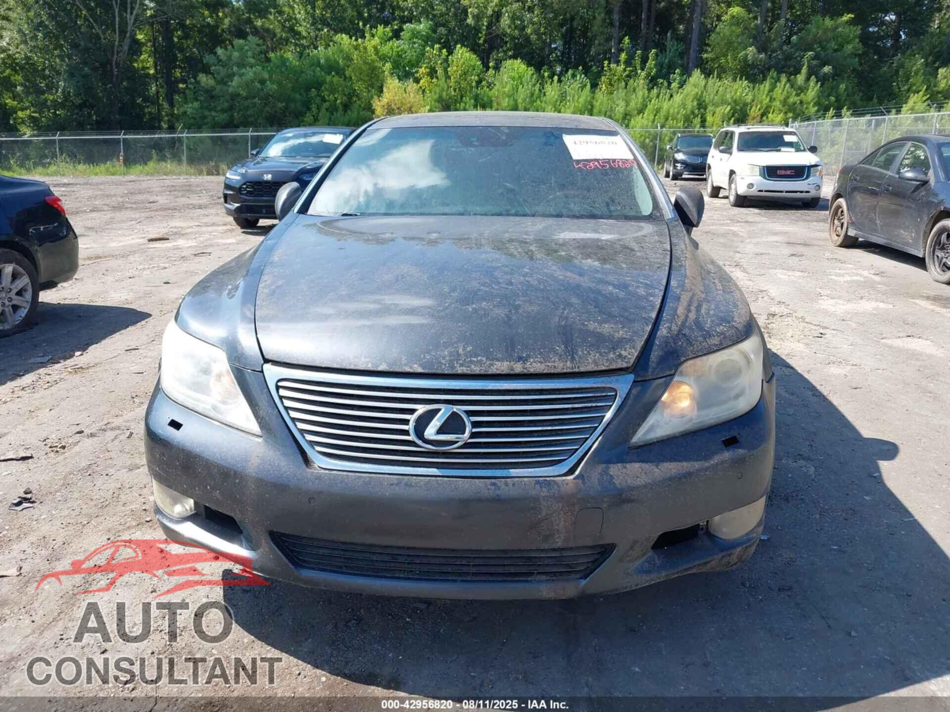 LEXUS LS 460 2010 - JTHBL5EF5A5094163