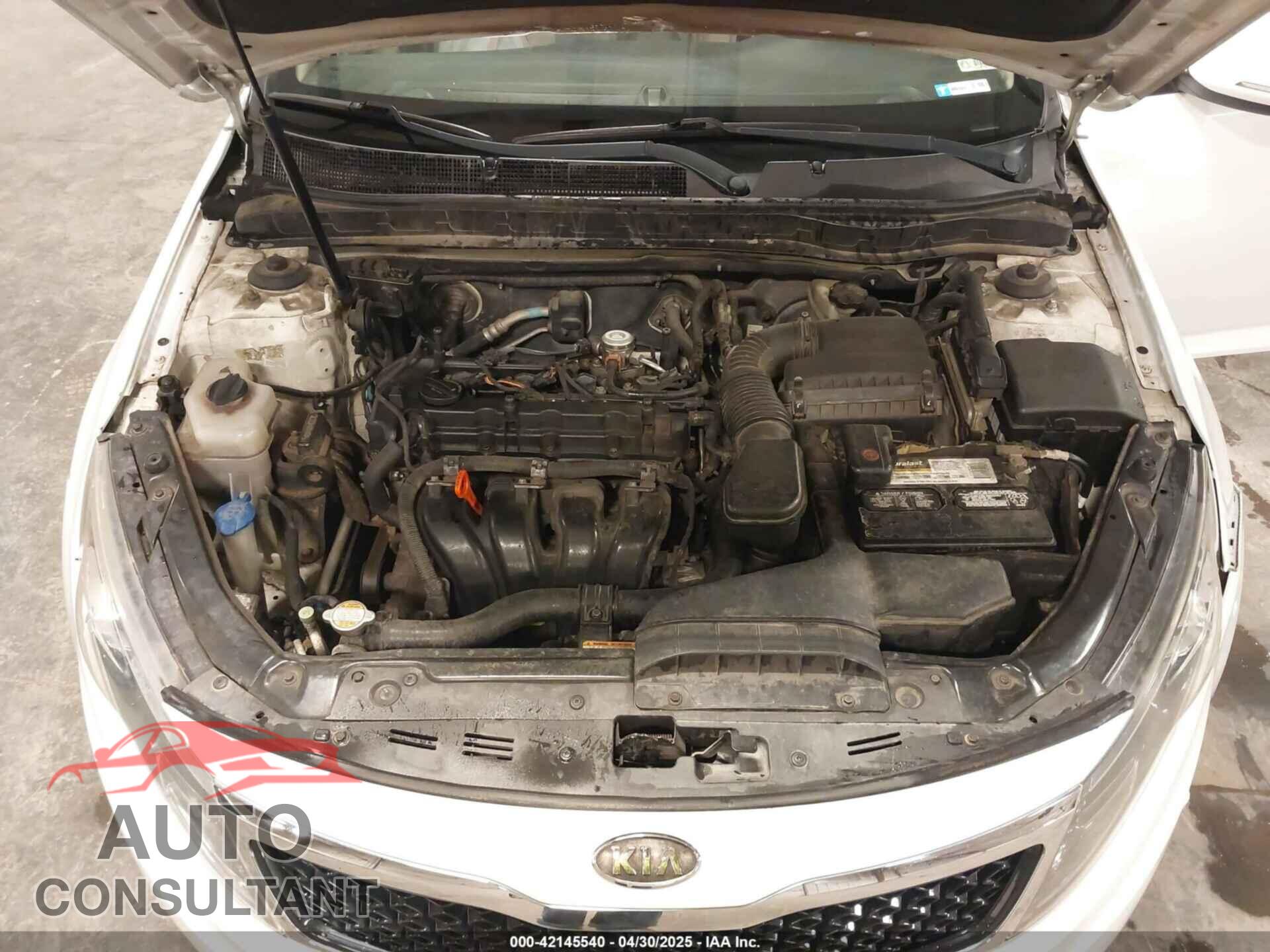 KIA OPTIMA 2011 - KNAGN4A76B5083164