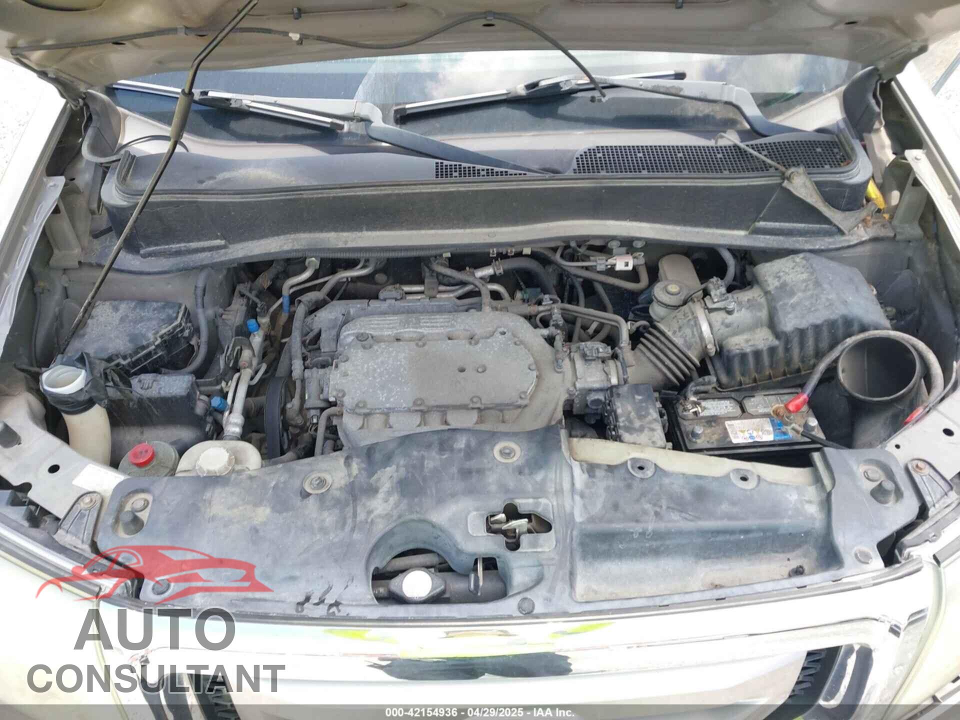 HONDA PILOT 2010 - 5FNYF3H2XAB013835